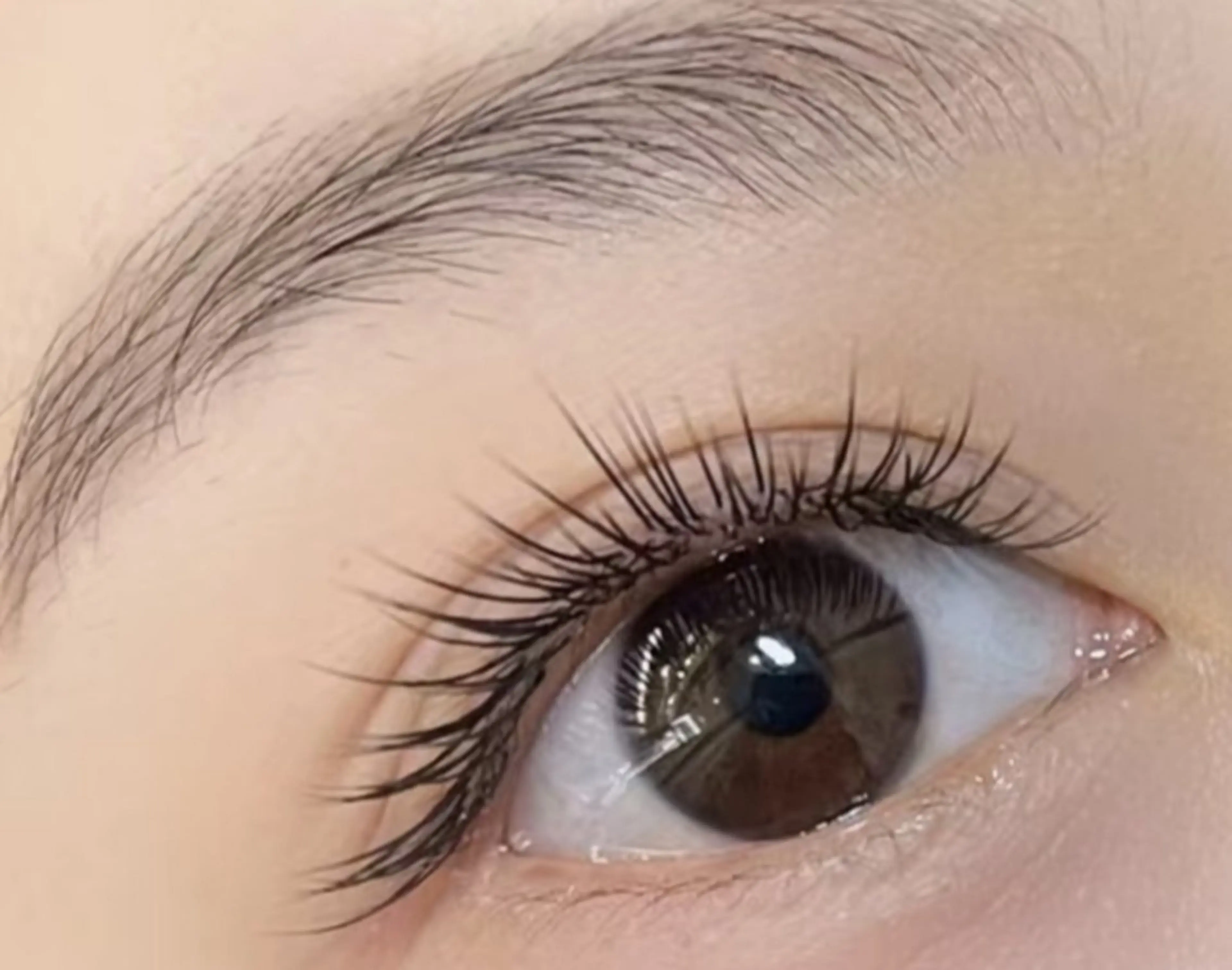 (オフ+500)ダブルロックフラットラッシュ80束、160本(LED追加＋1100円)の写真