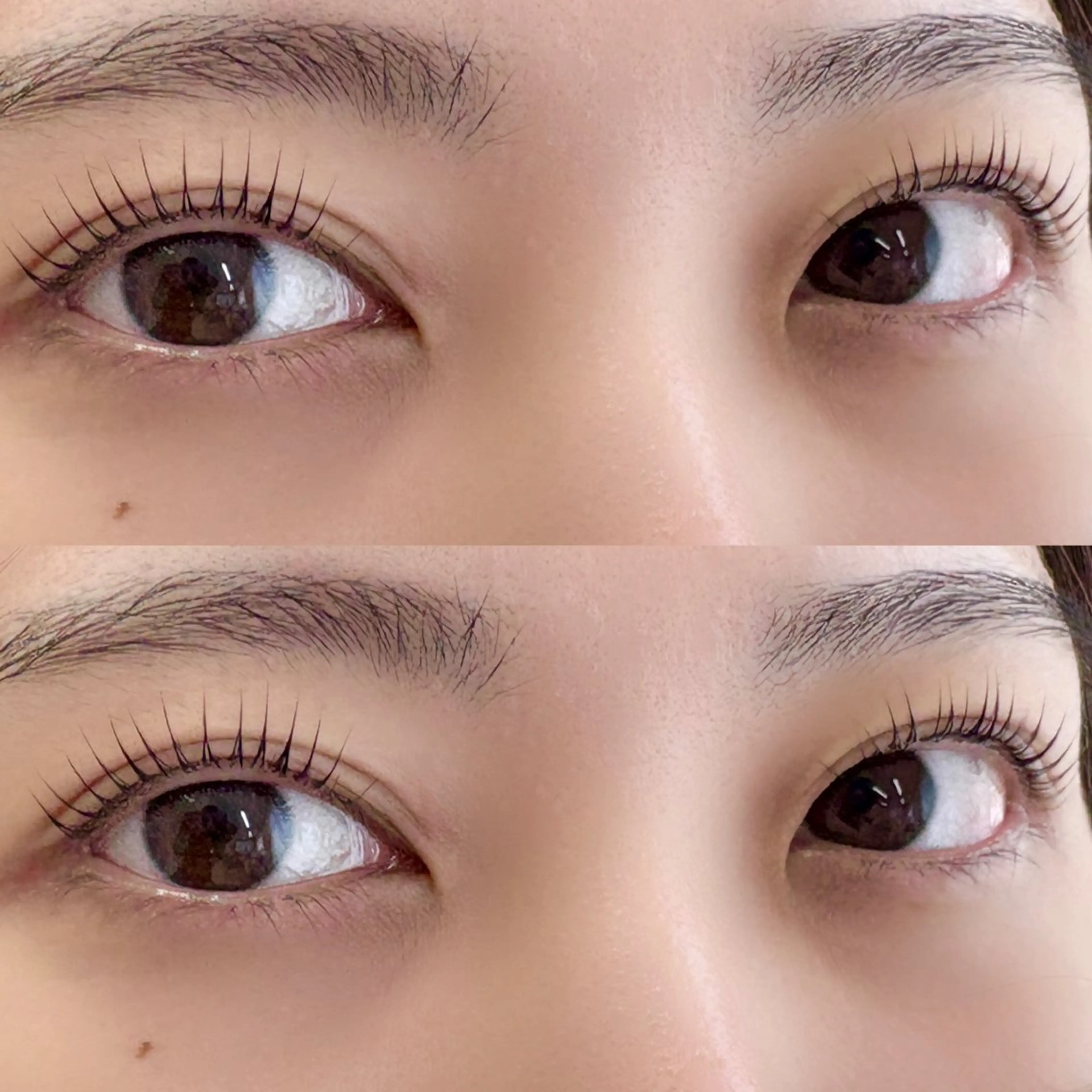 【ミニモ学割 ˚✩☪︎】《お目元の撮影可能な方のみ》パリジェンヌ🌼♡＋コーティングの写真