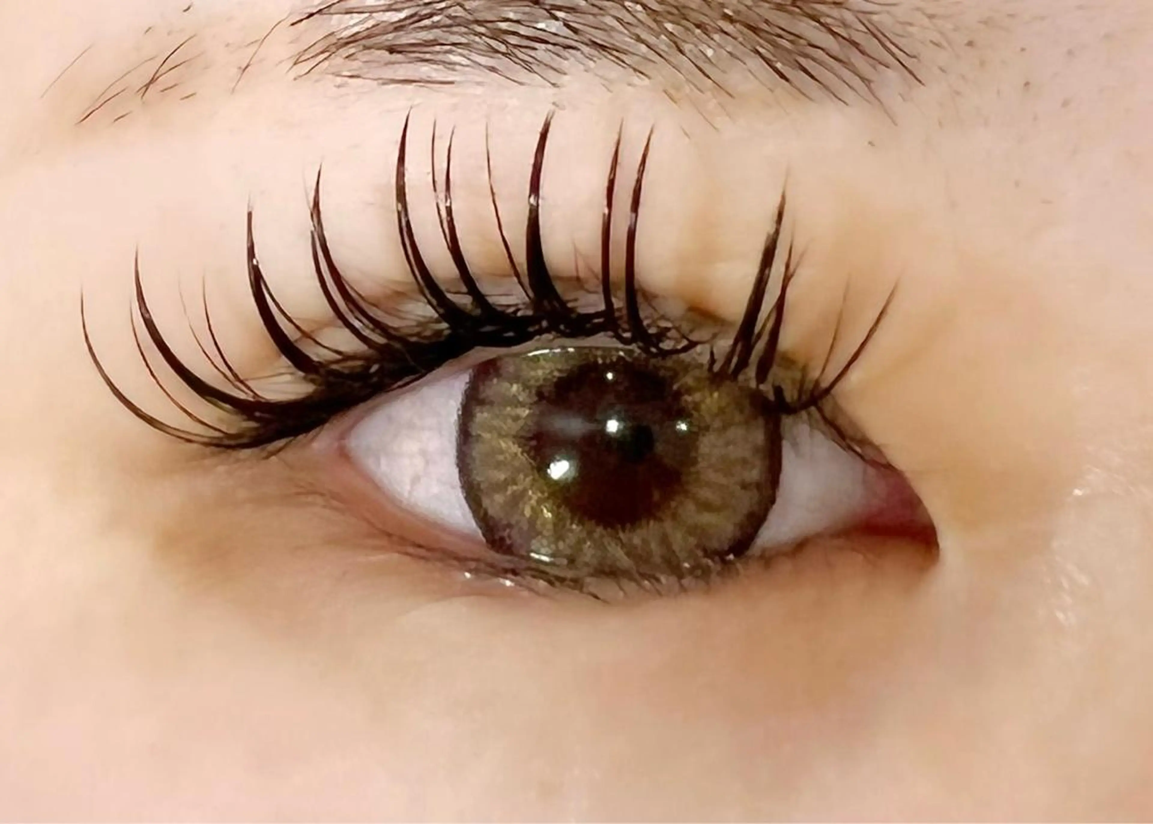 マツエク・マツパ 付け放題 バインドロック 束感まつ毛 マツエク Celeste Venus所属・🧸Celeste Venusのマツエク・マツパデザイン