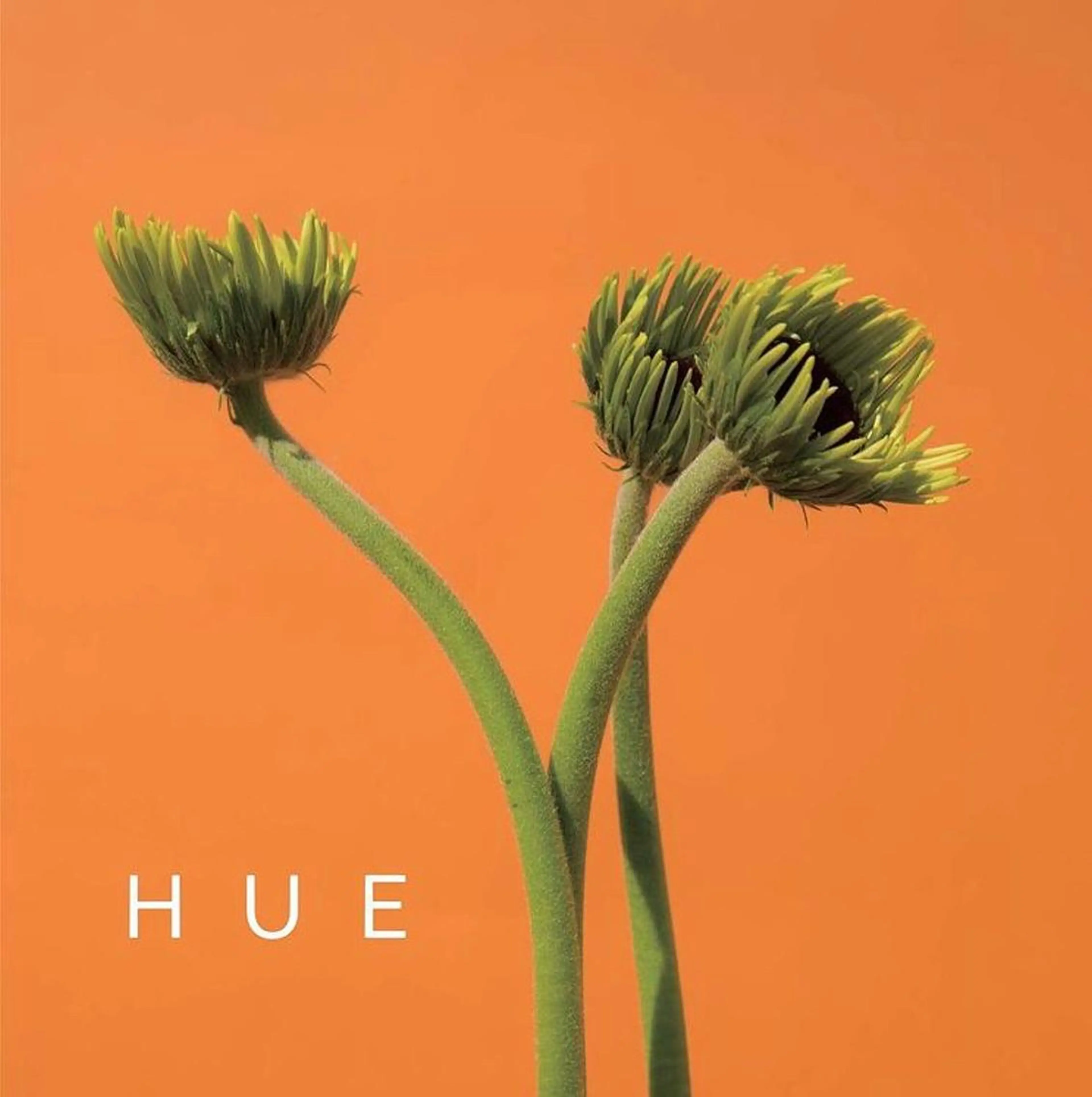 松本平太郎美容室大宮店所属・もりたみかこ 美容師お休み中のヘアスタイル