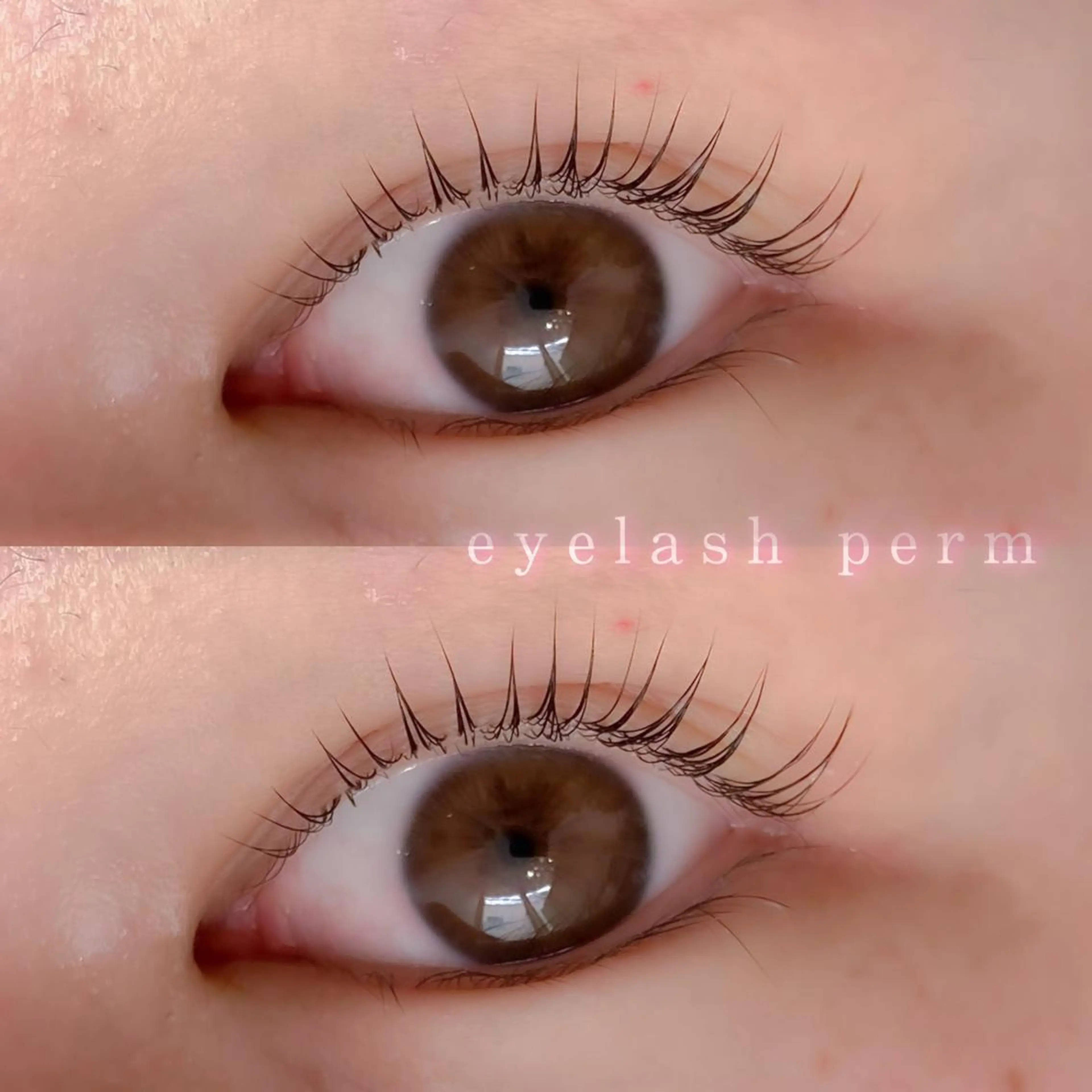 マツエク・マツパ ドットネイル by maison de charme所属・🎀 AYANEのネイルデザイン