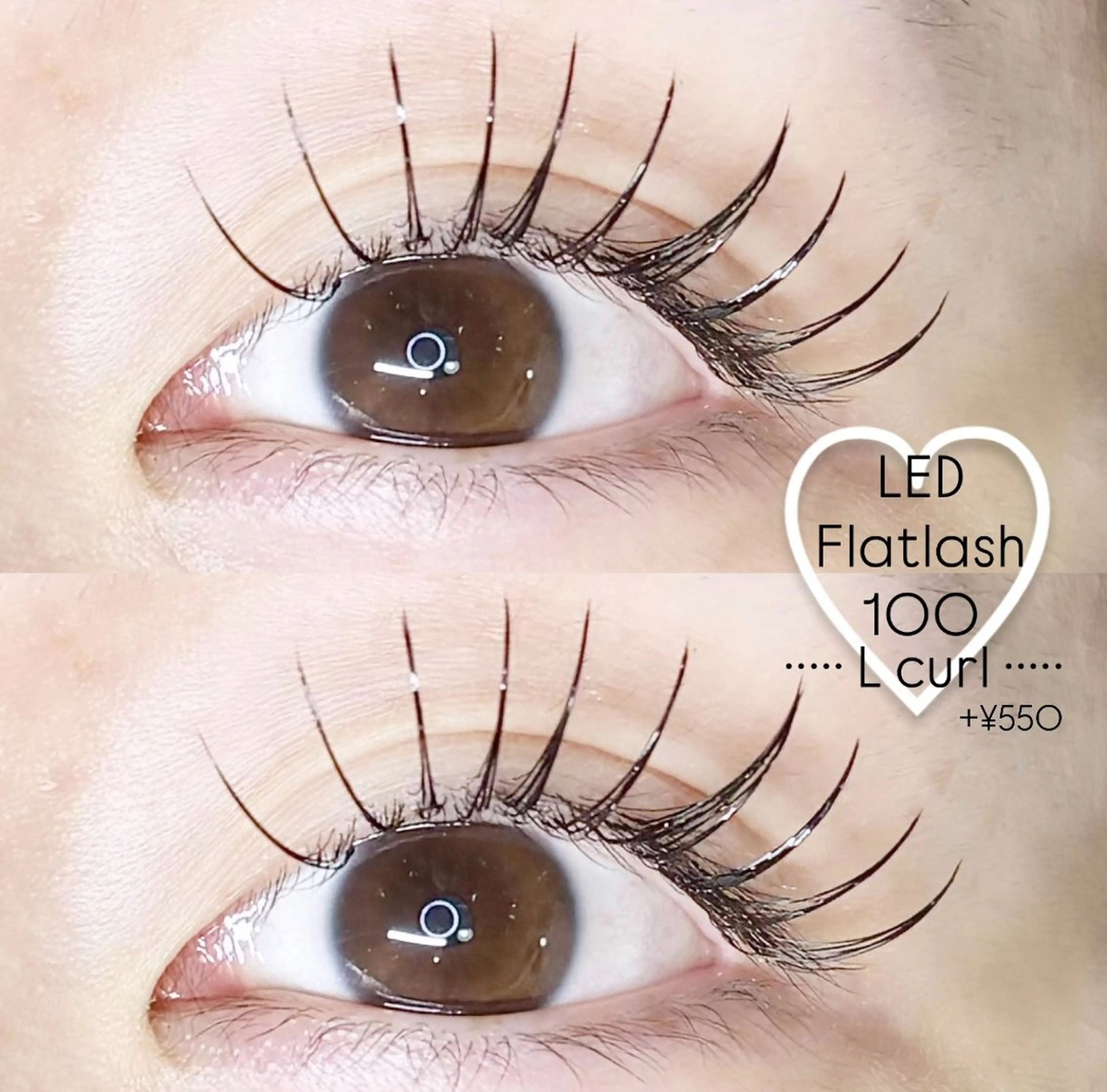 マツエク・マツパ Lカール LEDエクステ専門店 Fedis 京橋のマツエク・マツパデザイン