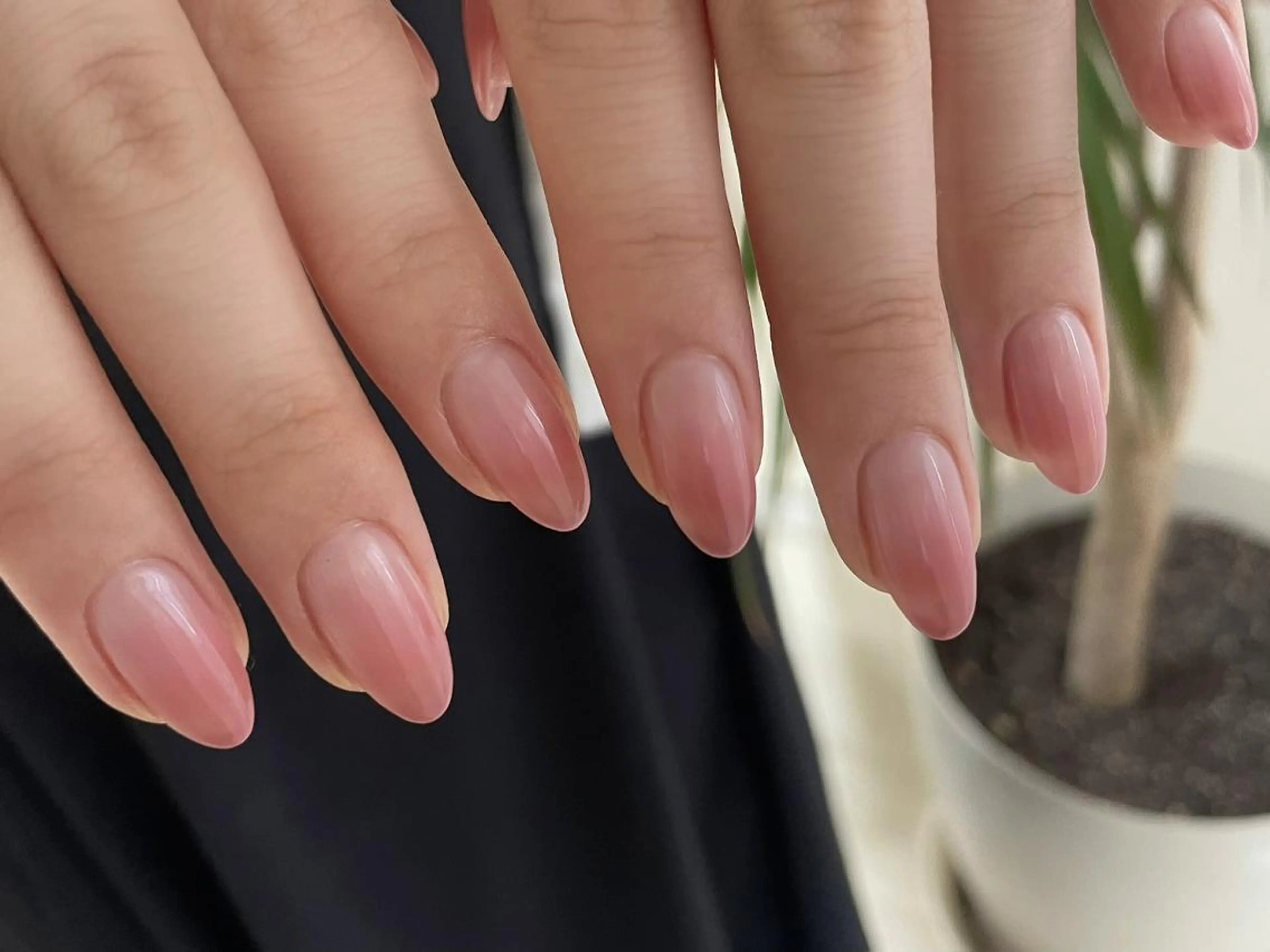 ❣️期間限定❣️グラデーション💅🏻(オフあり)の写真
