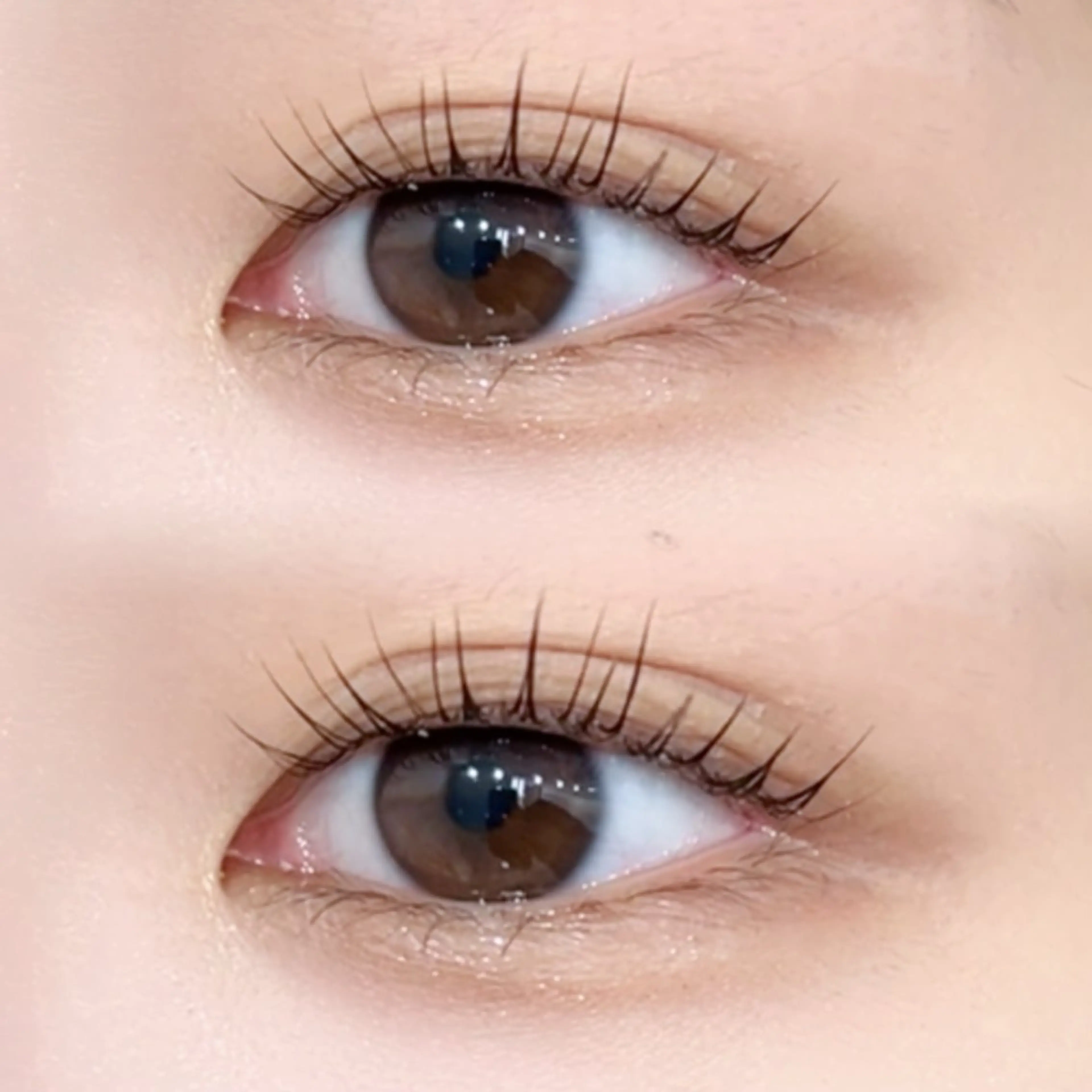 メーテルロッド　コーティング付き✨の写真