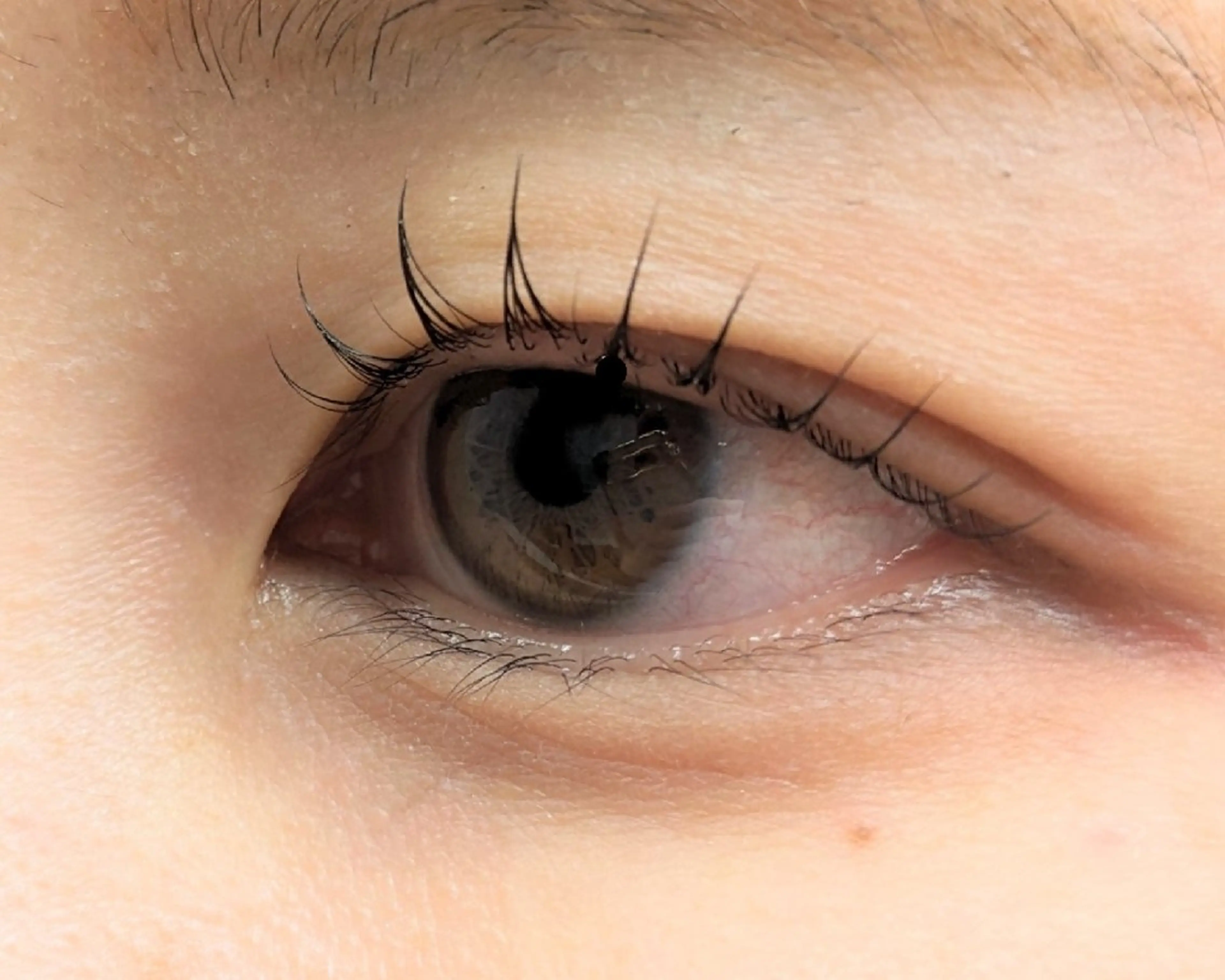 マツエク・マツパ パリジェンヌラッシュリフト 《amii　横浜》 ☆さいとうのマツエク・マツパデザイン