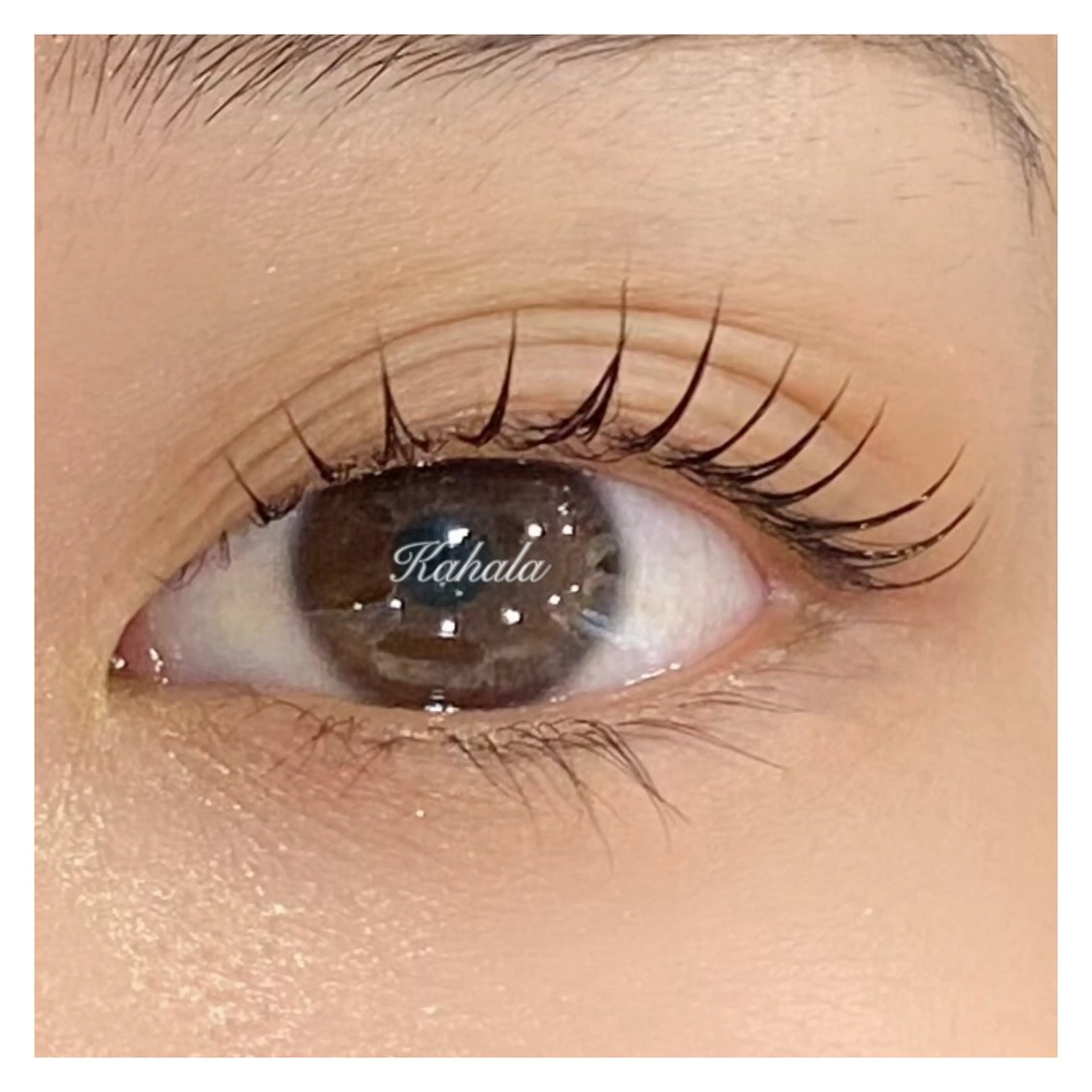 マツエク・マツパ 眼科監修まつ毛エクステ専門店　アイラッシュリゾート　カハラ　新宿店所属・🥞ツノダ eyelash🧸のマツエク・マツパデザイン