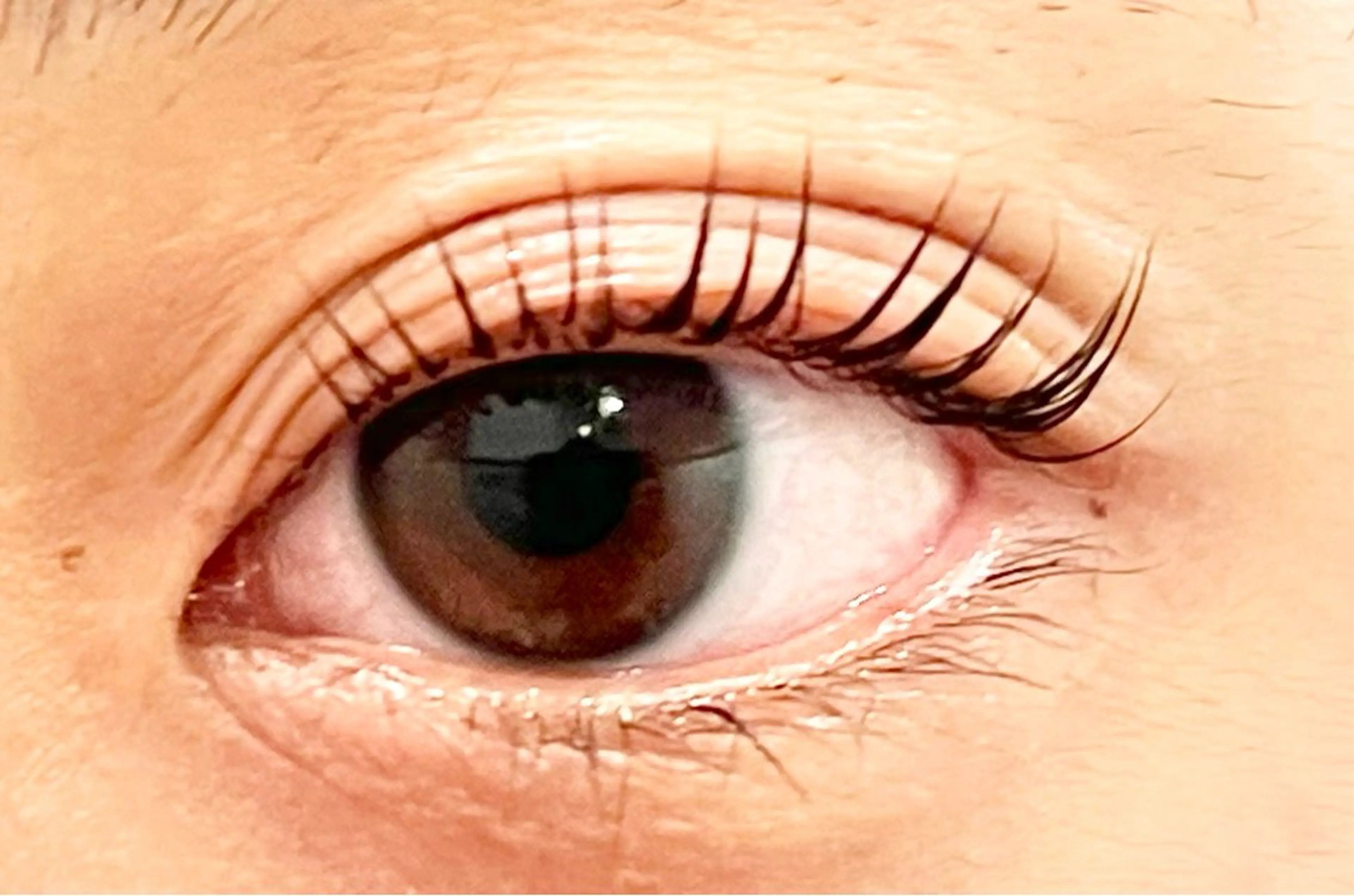 まつ毛パーマ🧡sns用にお目元のお写真をお撮りします。可能な方のみご予約受付お願い致します🥰の写真