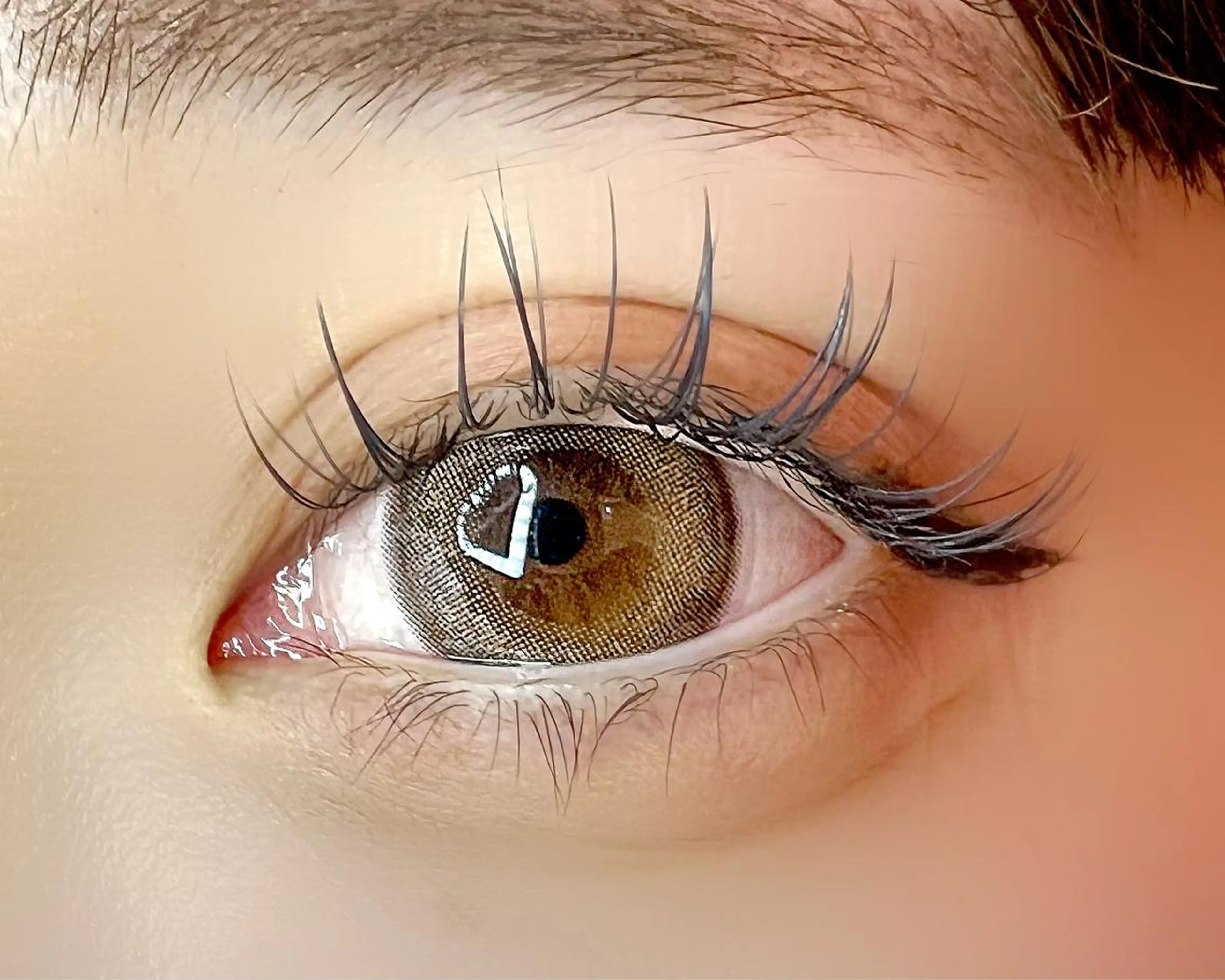 マツエク・マツパ マツエク Celeste Venus所属・🧸Celeste Venusのマツエク・マツパデザイン