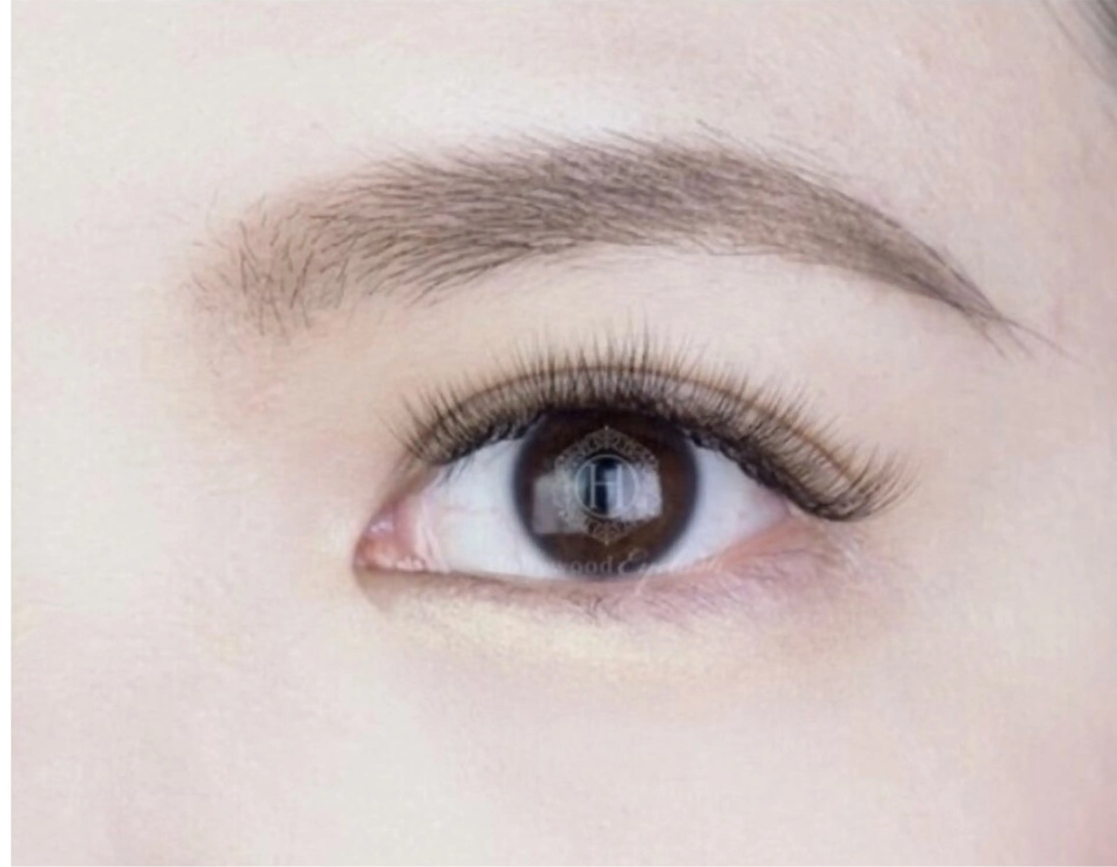 マツエク・マツパ オリーブ れなのマツエク・マツパデザイン