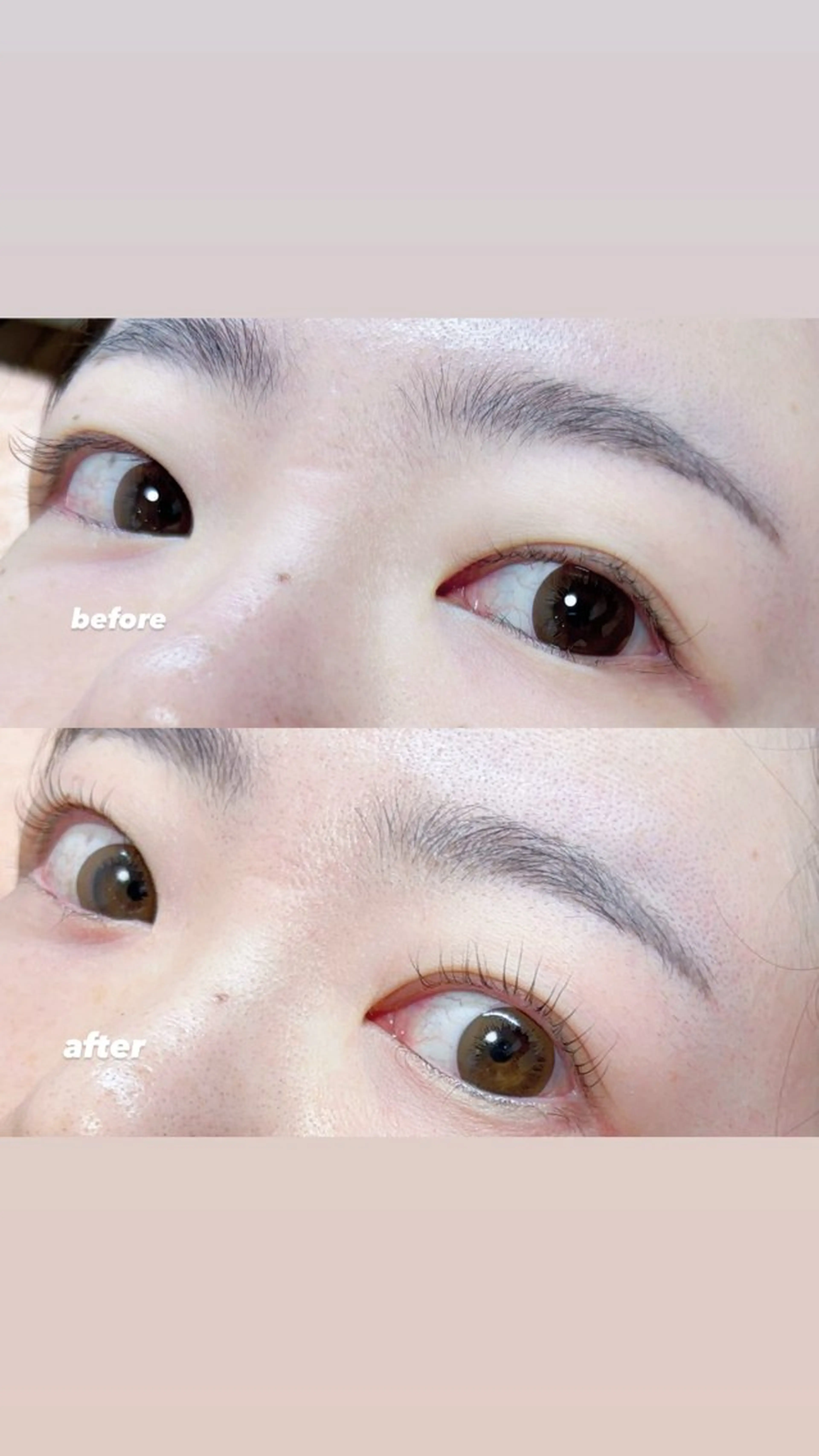 マツエク・マツパ Ayumi.dre 🐹H〈2階〉のマツエク・マツパデザイン