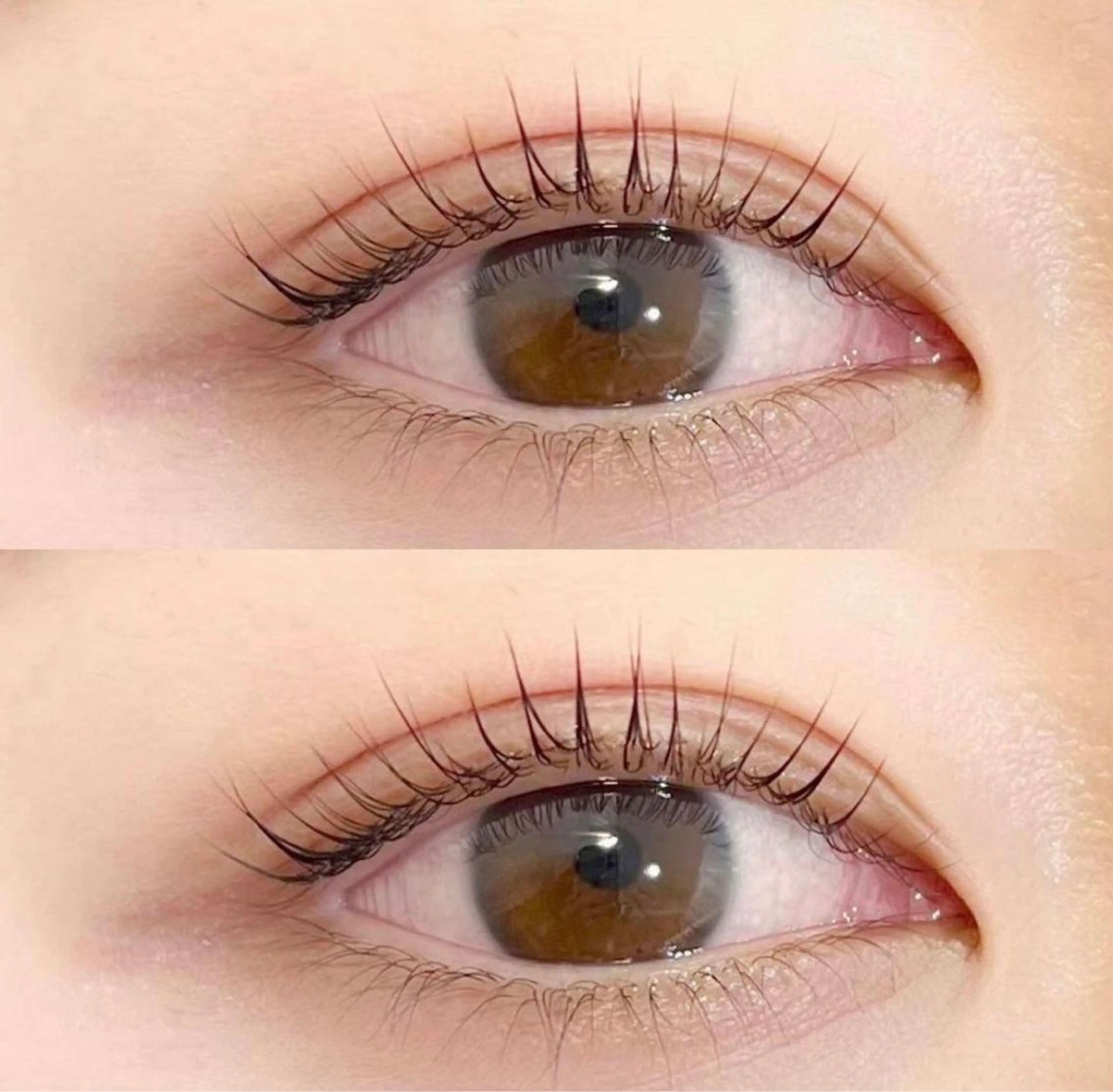 パリジェンヌの写真