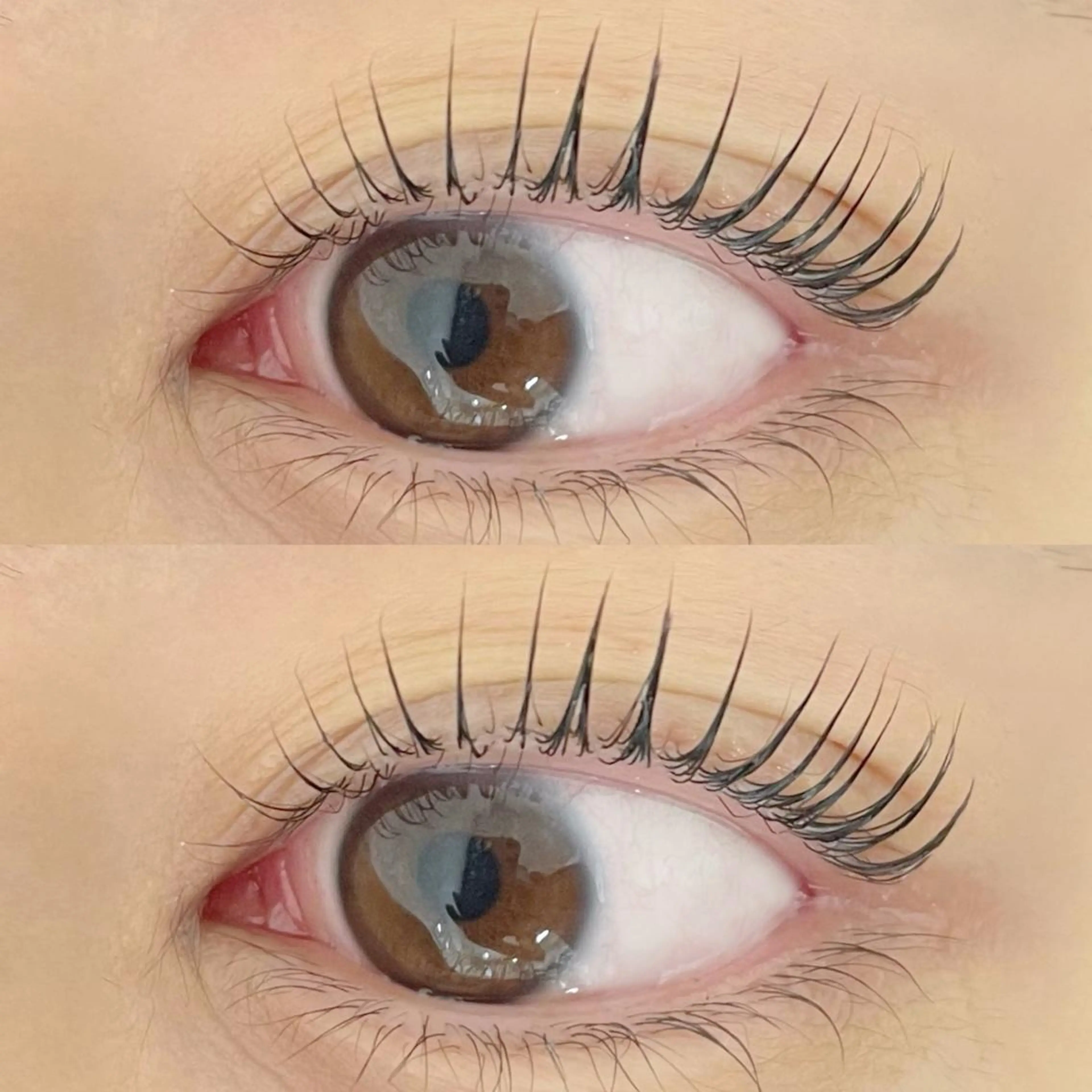 マツエク・マツパ Bianca金町🤍 HASHIMOTOのマツエク・マツパデザイン