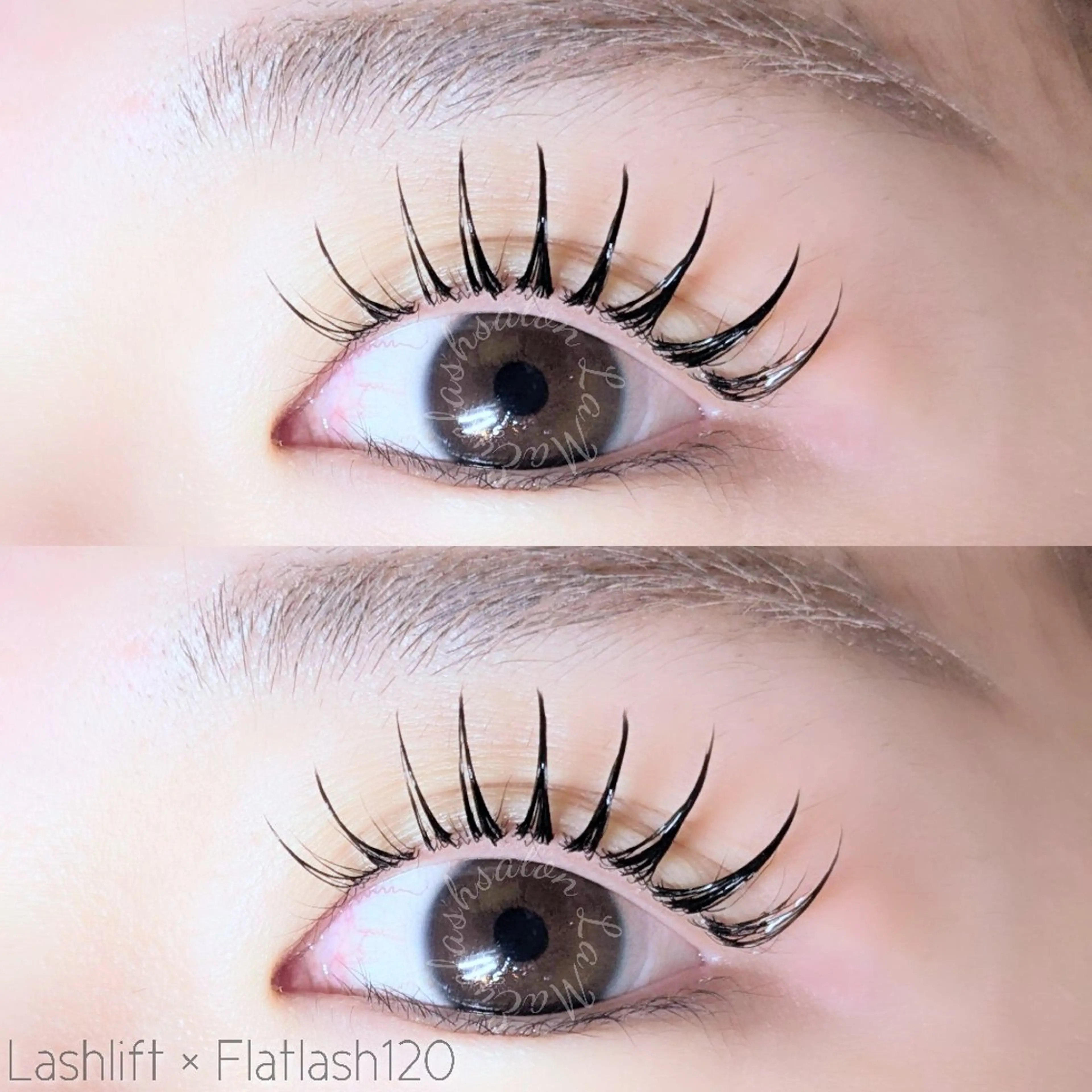 マツエク・マツパ 束感まつ毛 フラットラッシュ LaMa. Yのその他イメージ