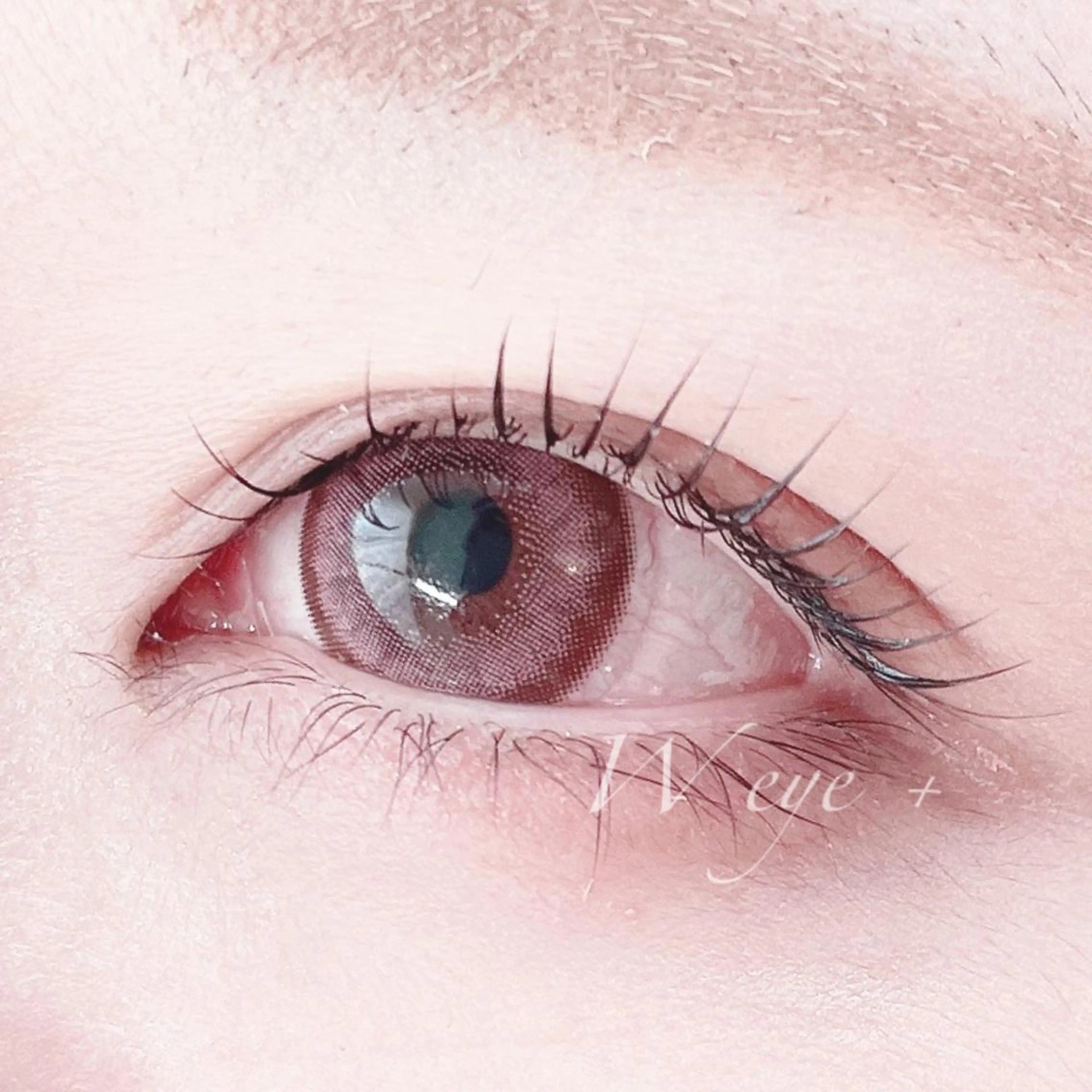 マツエク・マツパ まつげパーマ W  eye+明石店 .のマツエク・マツパデザイン