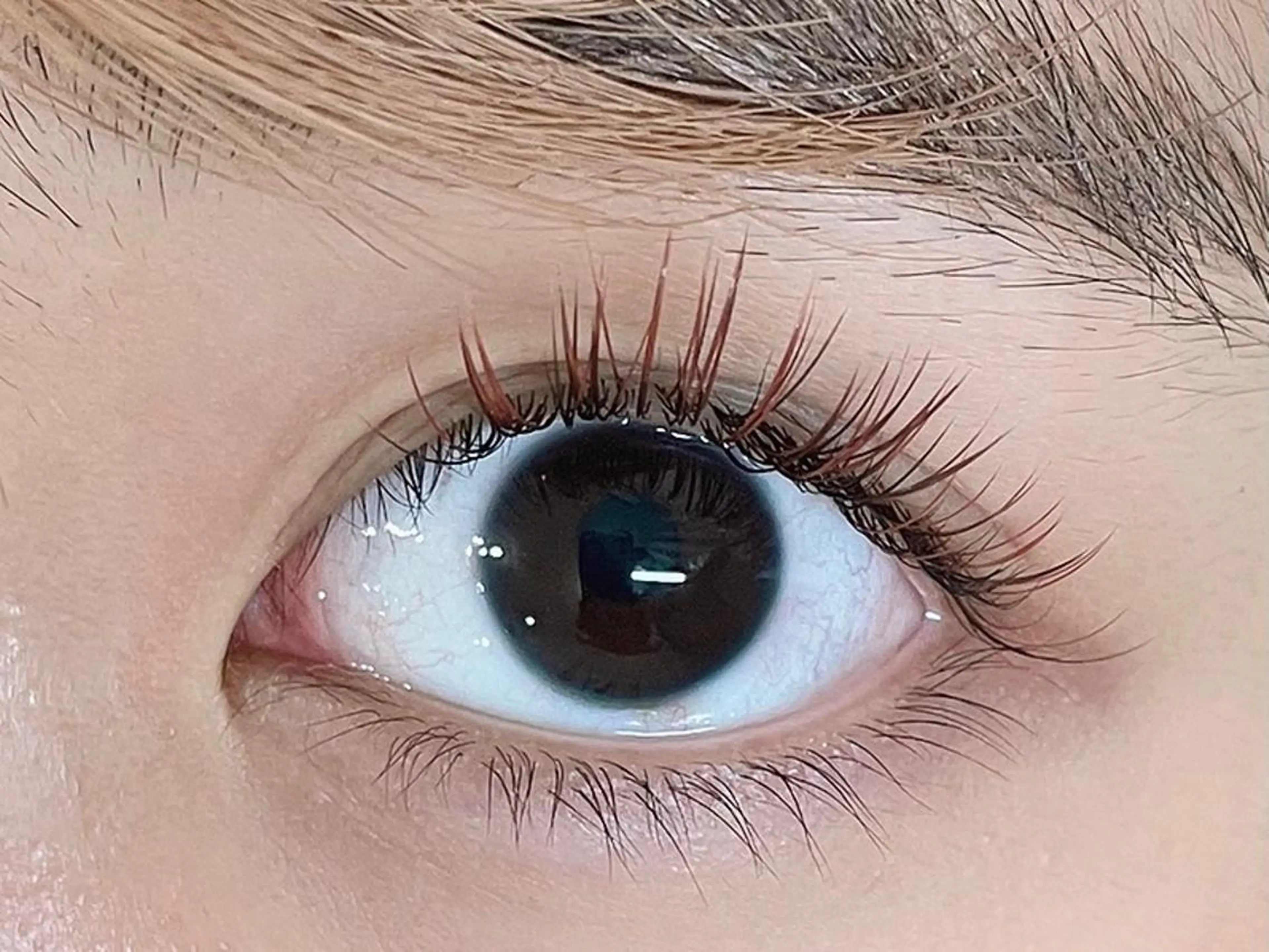 マツエク・マツパ マツエク Pljoul《プリジュール》所属・Pljoul🤍 天満橋のマツエク・マツパデザイン