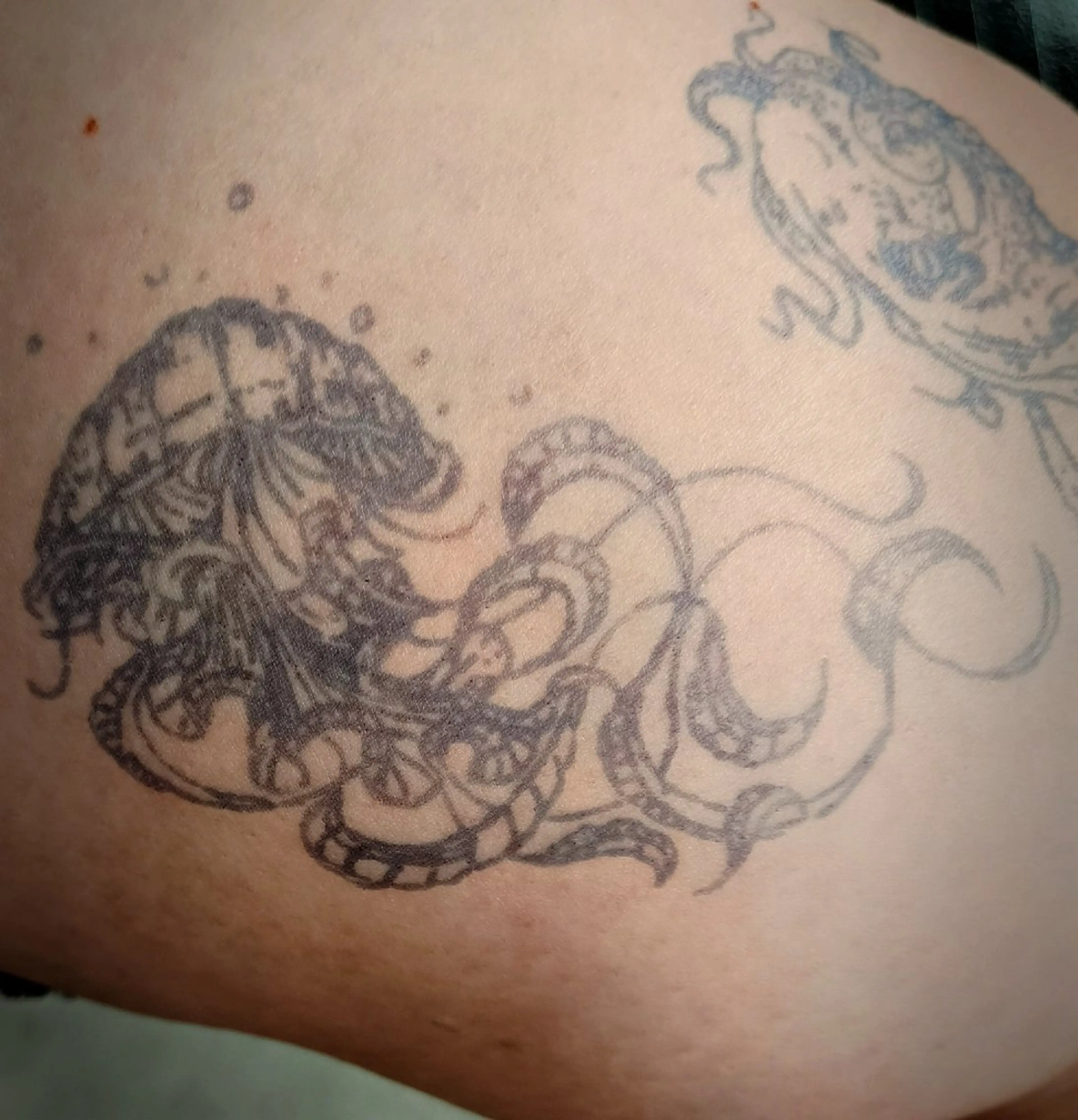 その他 Cherry's Club 志木店のマツエク・マツパデザイン