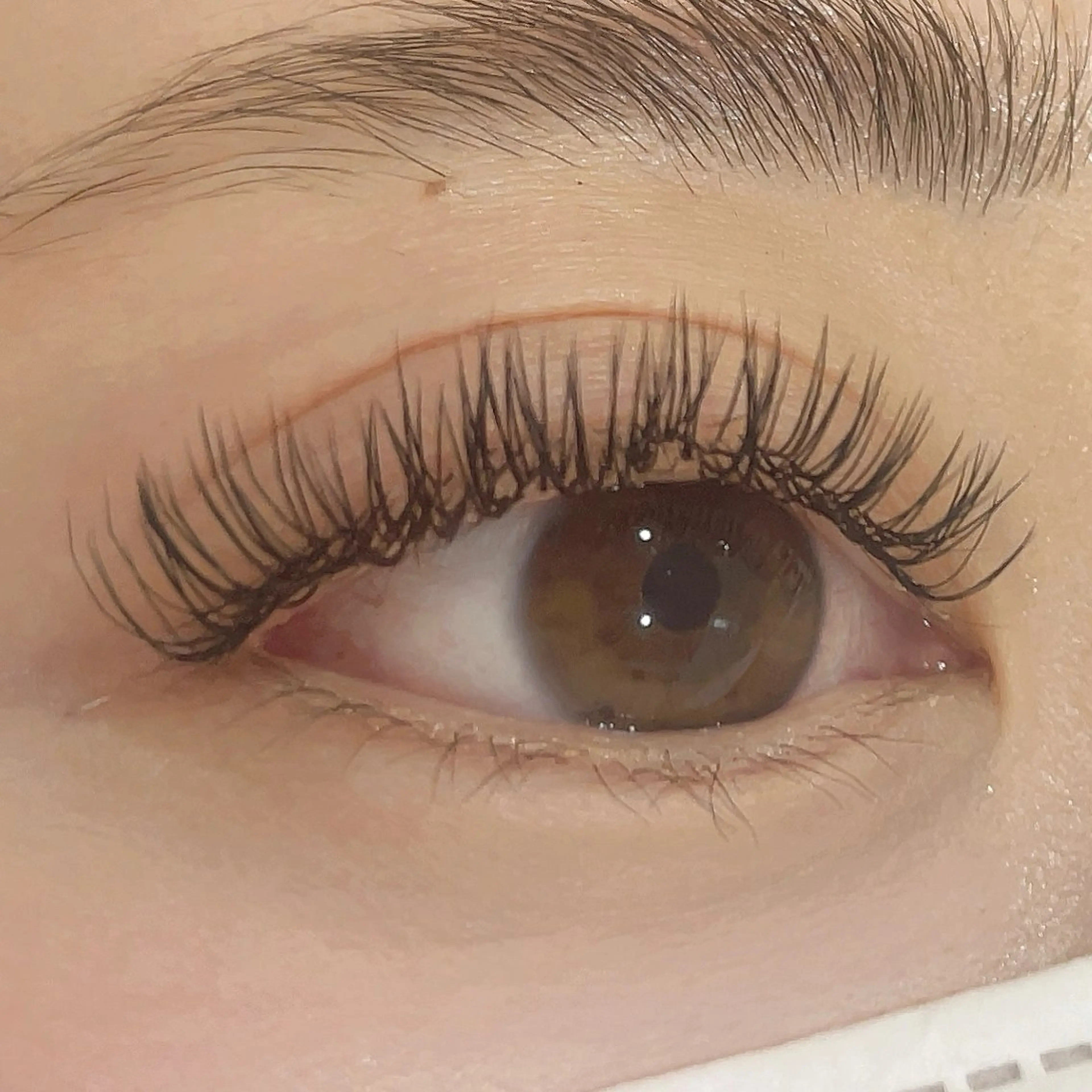 マツエク(フラットマットラッシュ)160本まで🌟濃くバサバサにしたい方におすすめ🩵の写真