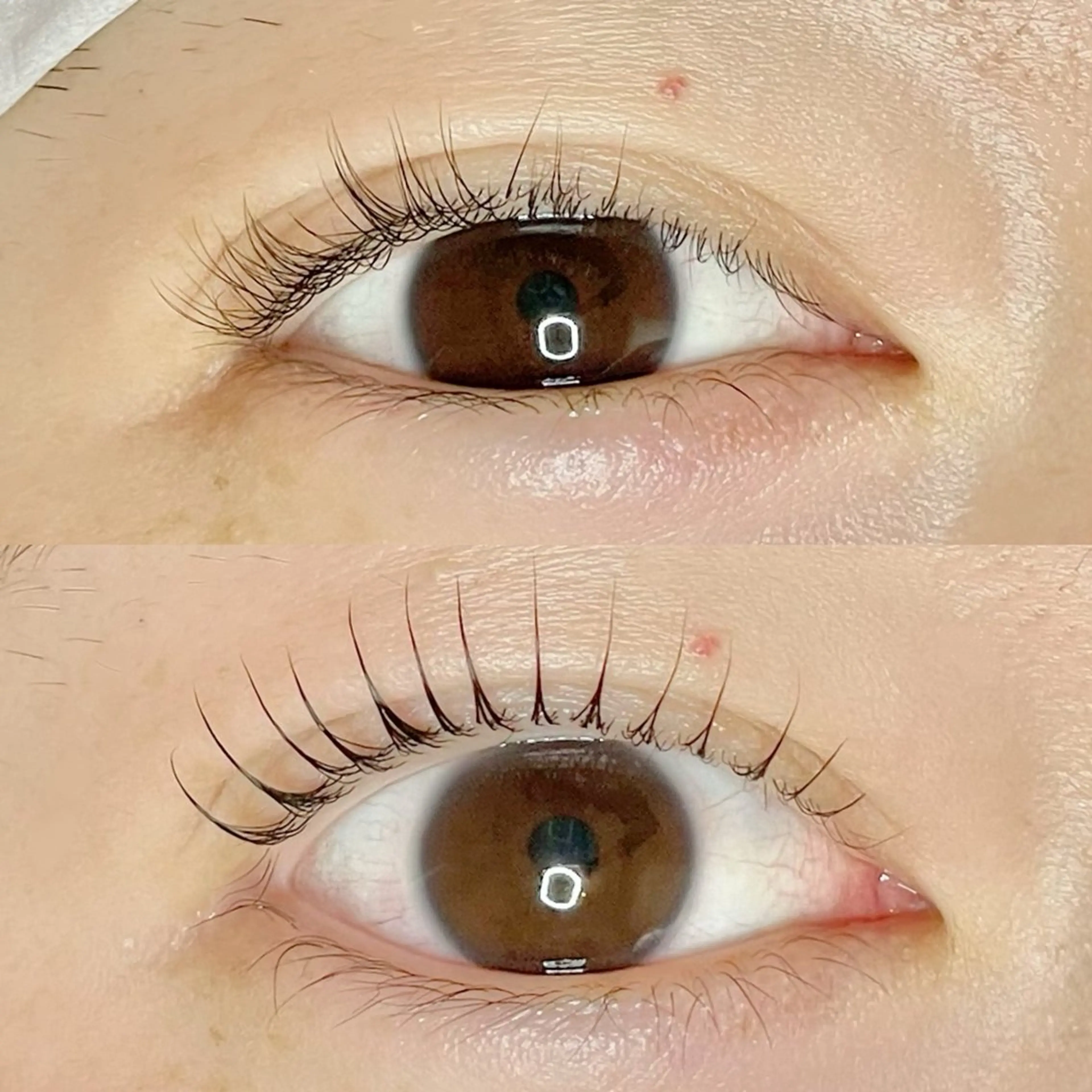 マツエク・マツパ マツパ AYLASH🧡 猪又のマツエク・マツパデザイン