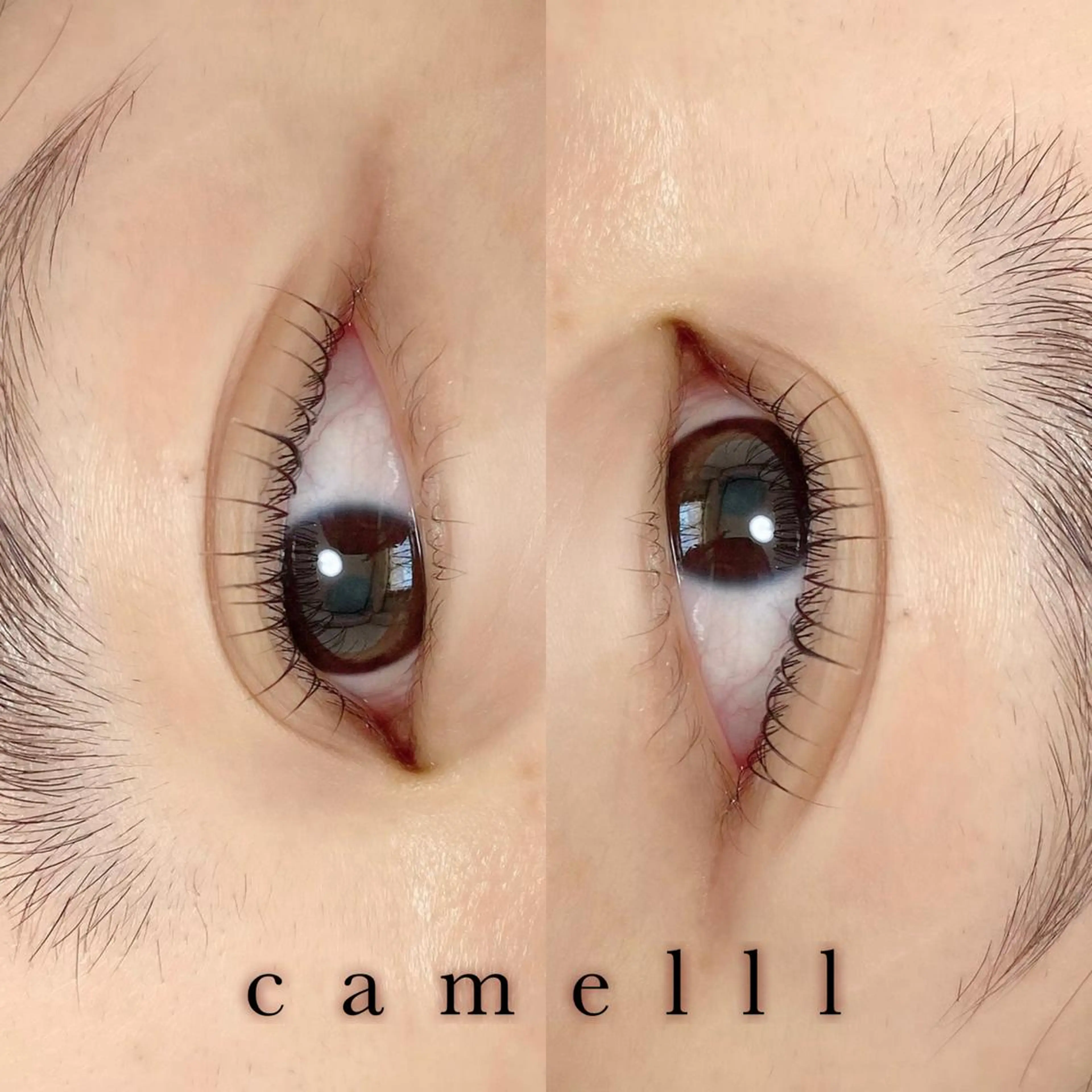 マツエク・マツパ 【那覇/束感まつ毛】 ｷｬﾒﾙのマツエク・マツパデザイン