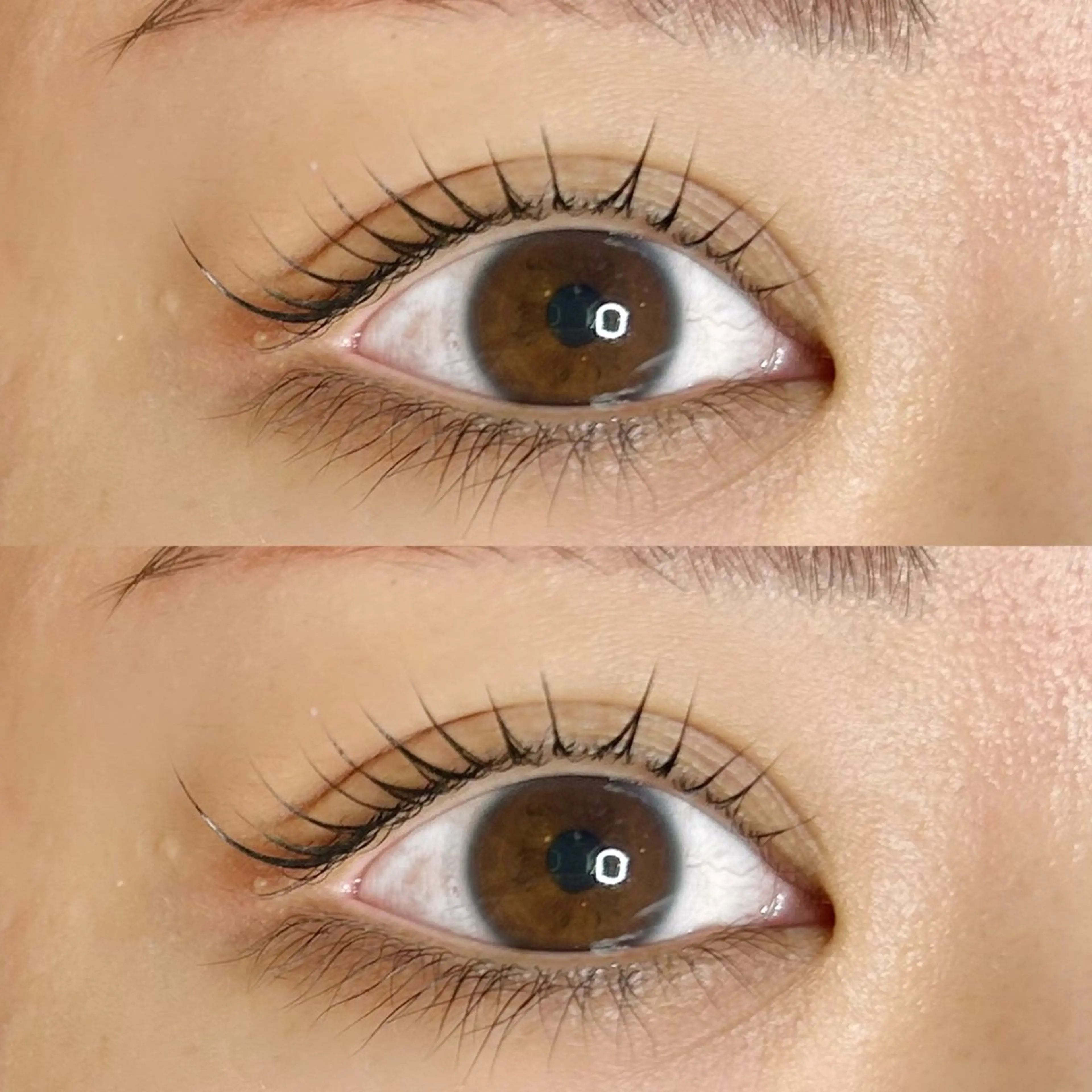 マツエク・マツパ Roy's lash所属・Roy's lash ♡ AYAのマツエク・マツパデザイン