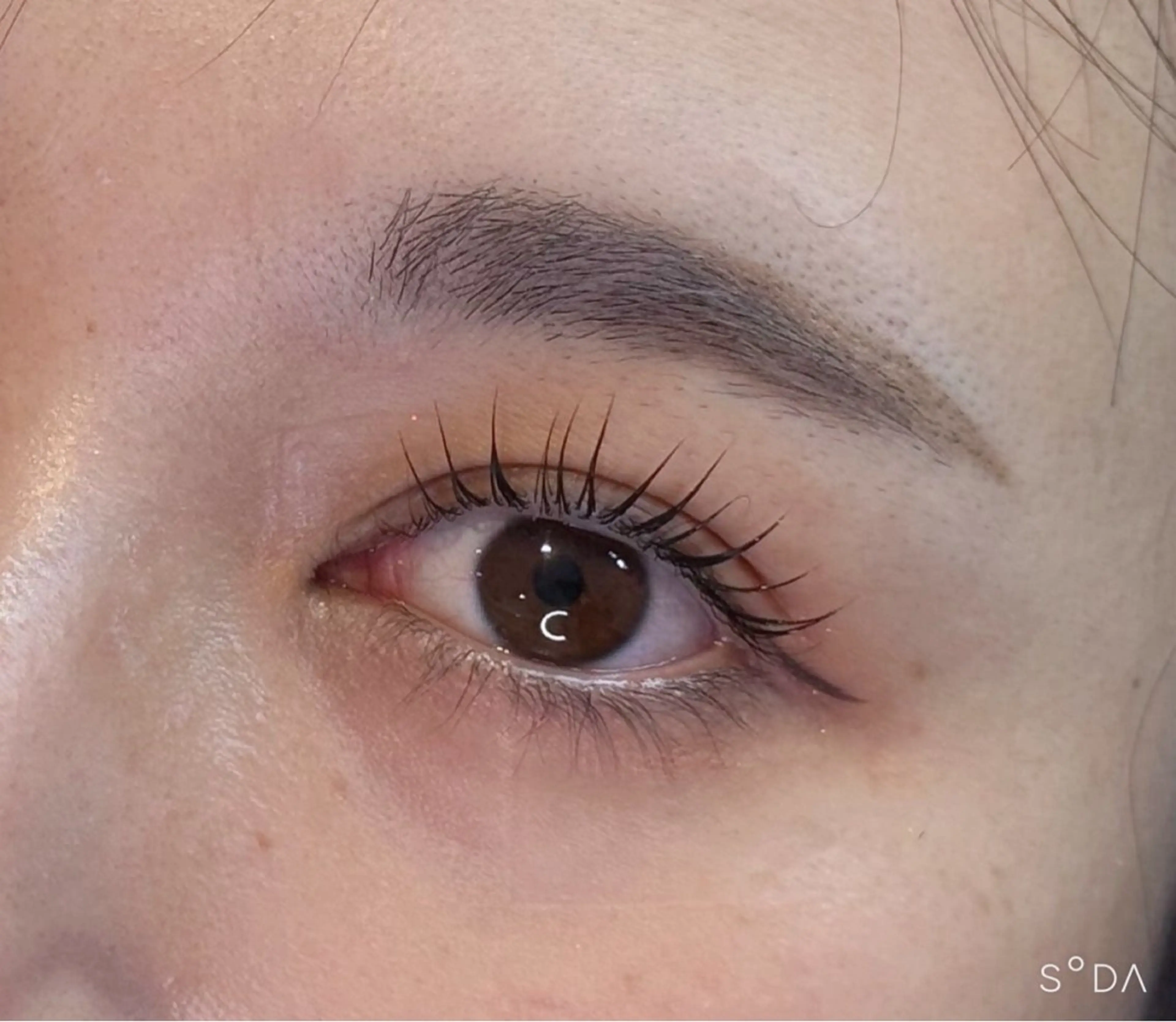 【🫧12月限定🫧】まつ毛パーマ(カールデザイン)束感コーティングの写真