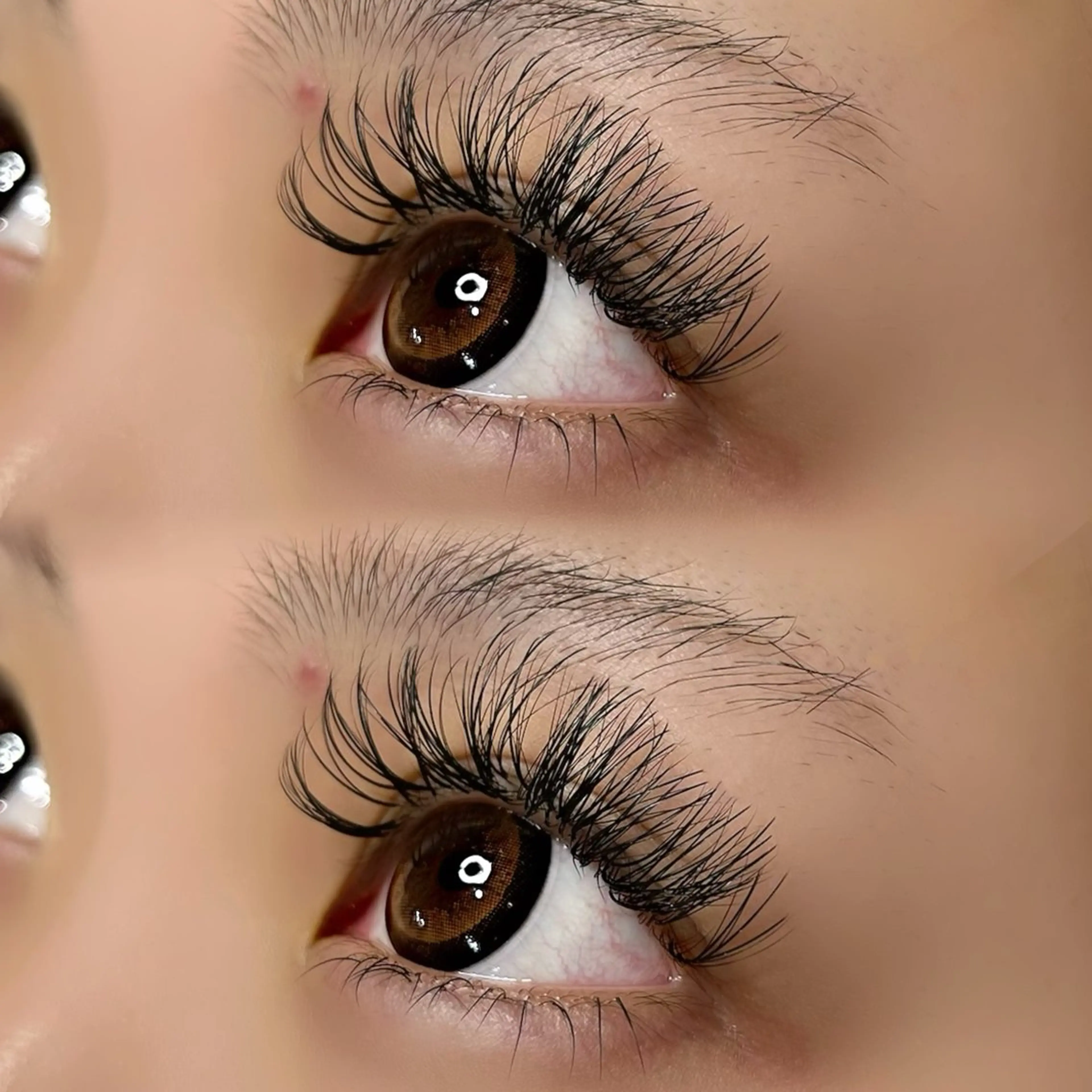 下まつ毛エクステのみ【最高級セーブルエクステ】30本 ￥2900        40本 ￥3400  50本 ￥3900の写真