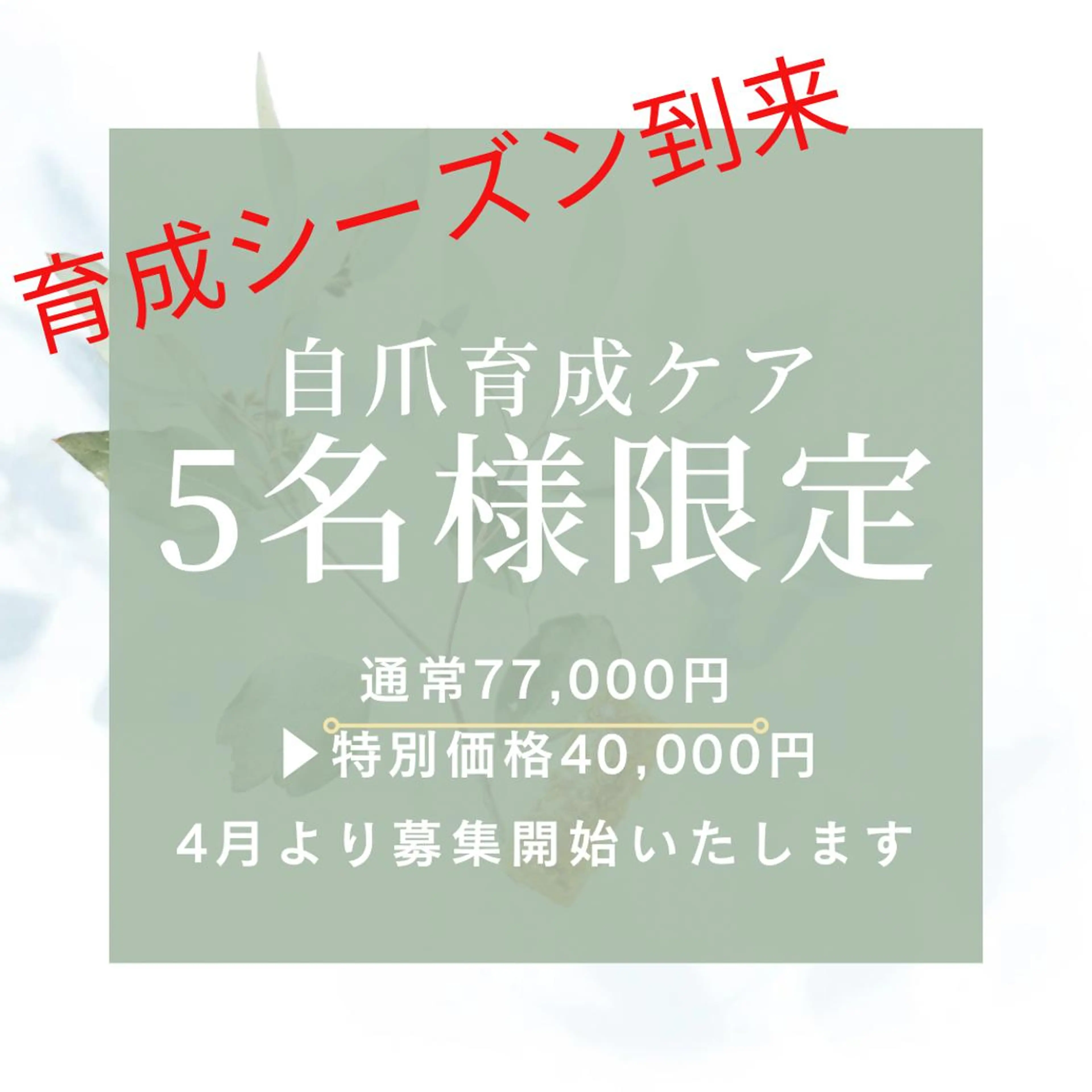 ネイル オフィスネイル シンプルネイル ネイルケアサロン Campanulaのネイルデザイン