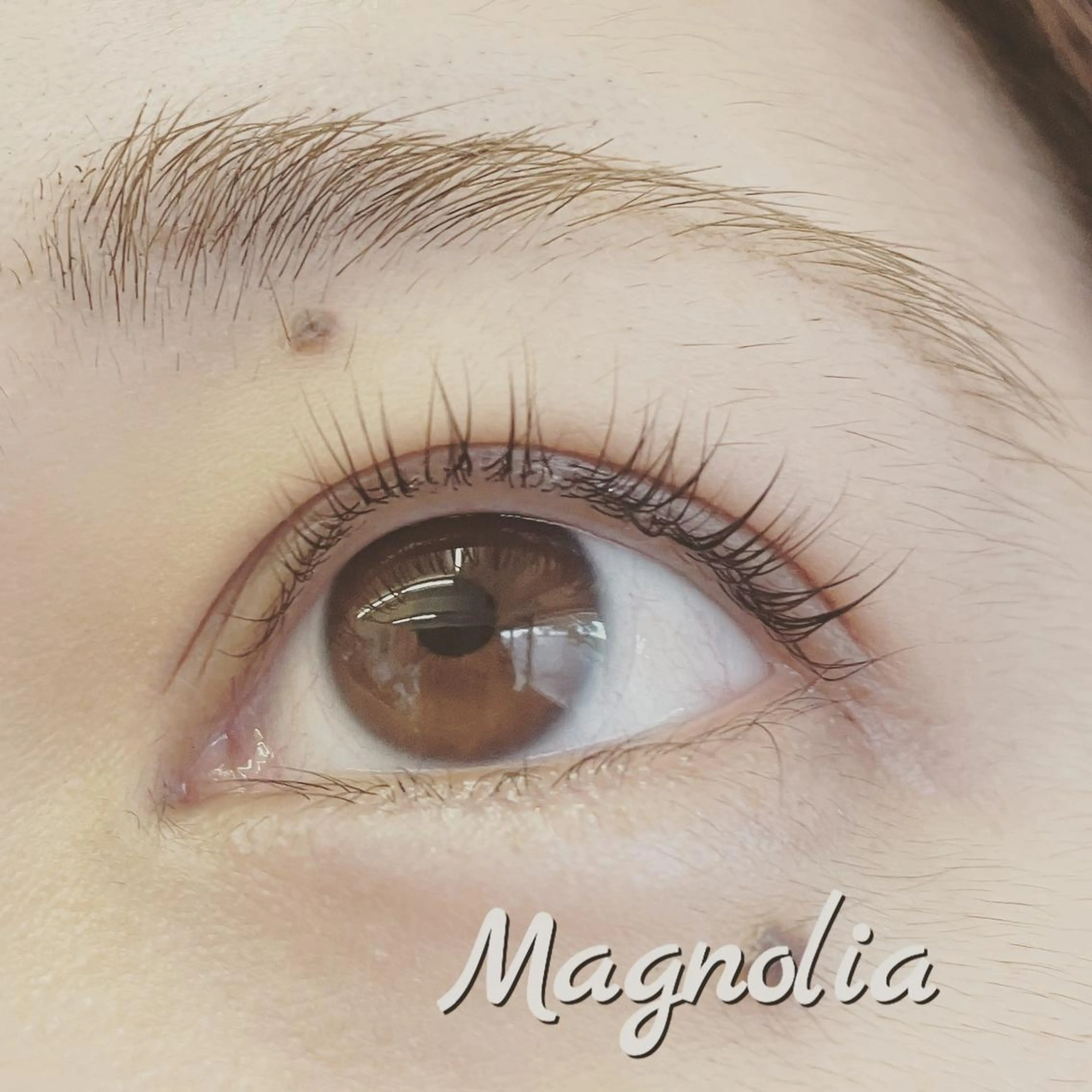 マツエク・マツパ エステサロンmagnolia所属・小野 優子の眉毛・アイブロウイメージ