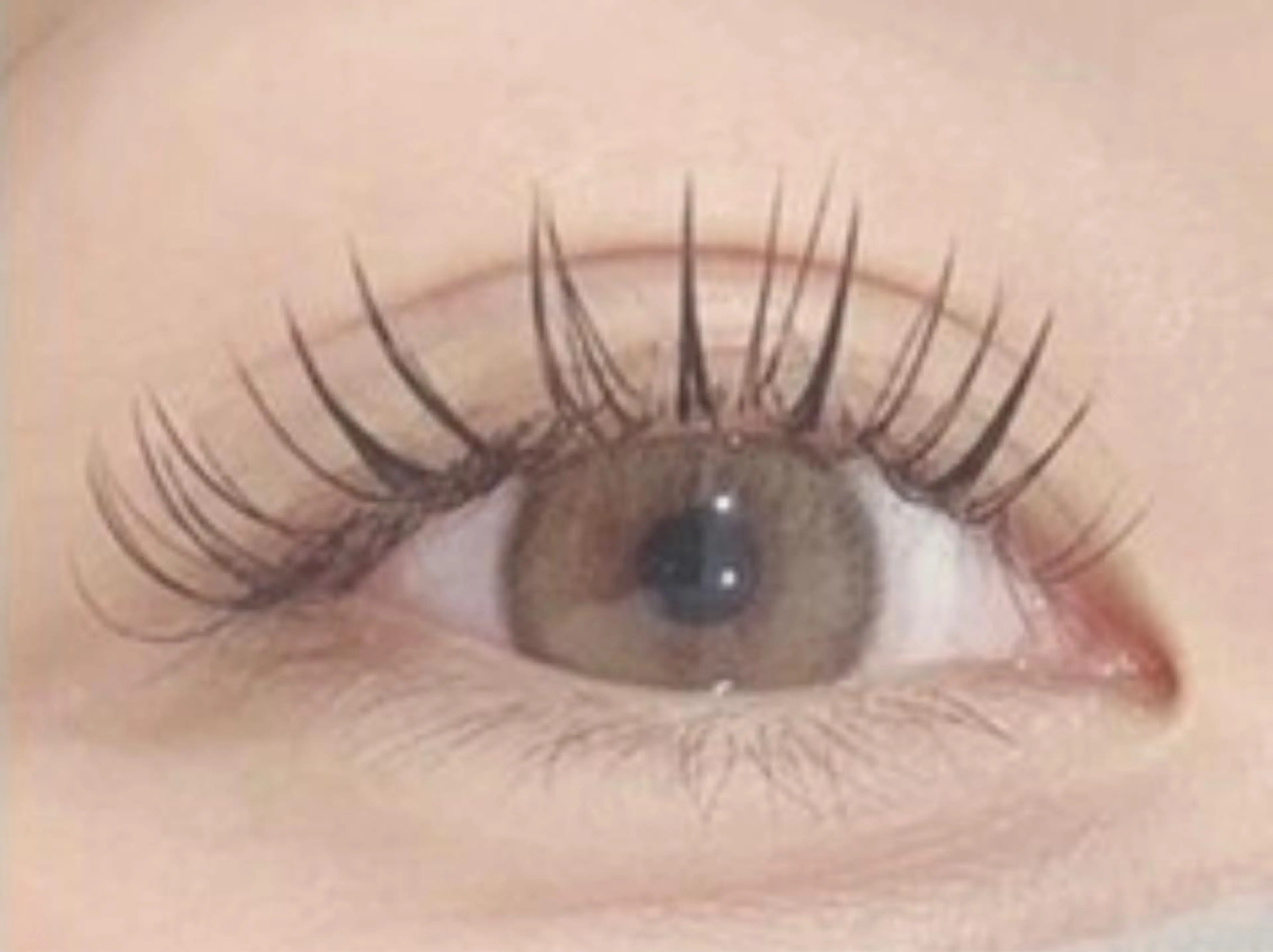 🤍《平日10:30~13:00限定✨》フラットラッシュ160本迄つけ放題¥7,810→¥7,000の写真