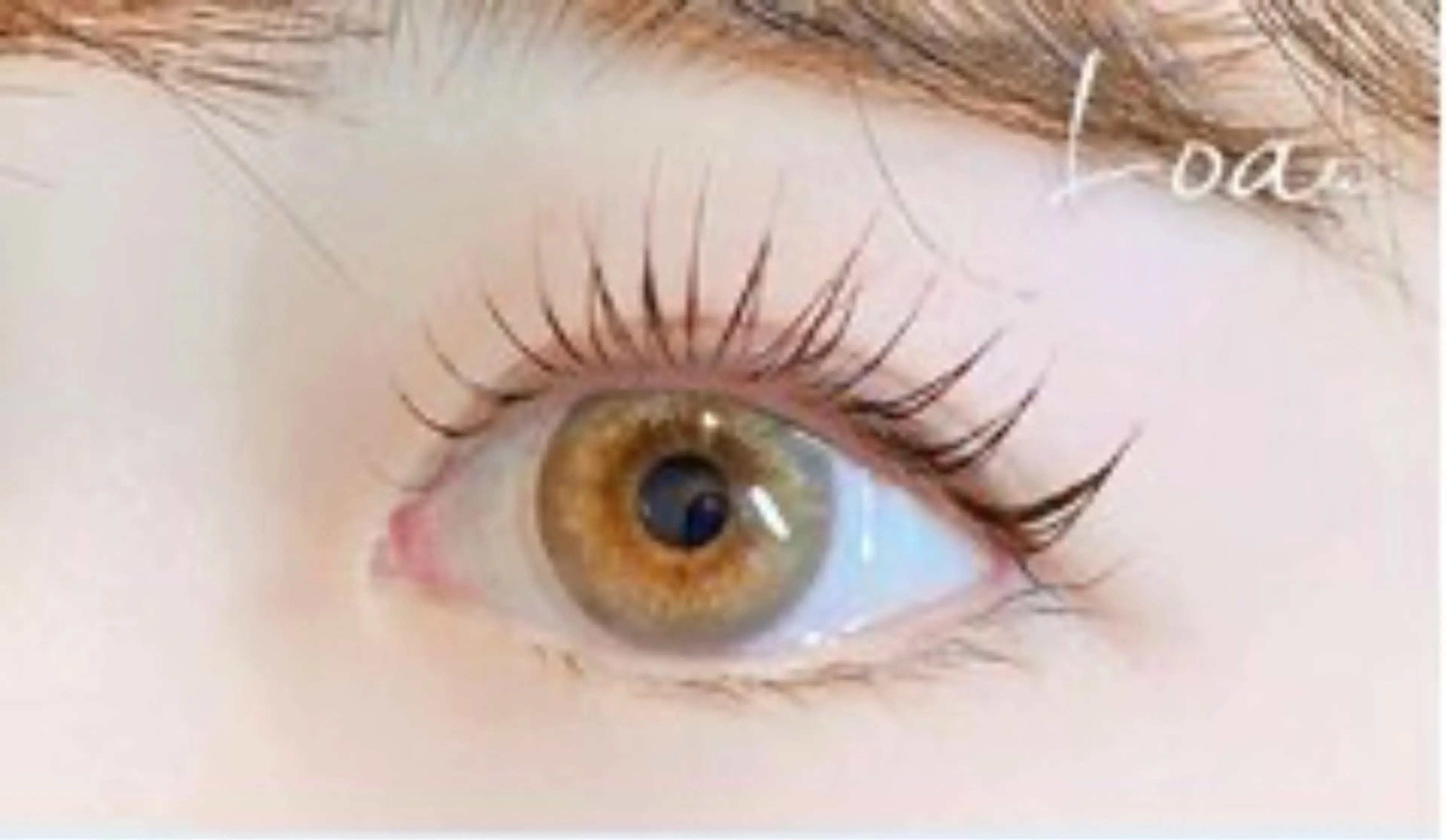 マツエク・マツパ Loa🪷 カケハシのマツエク・マツパデザイン