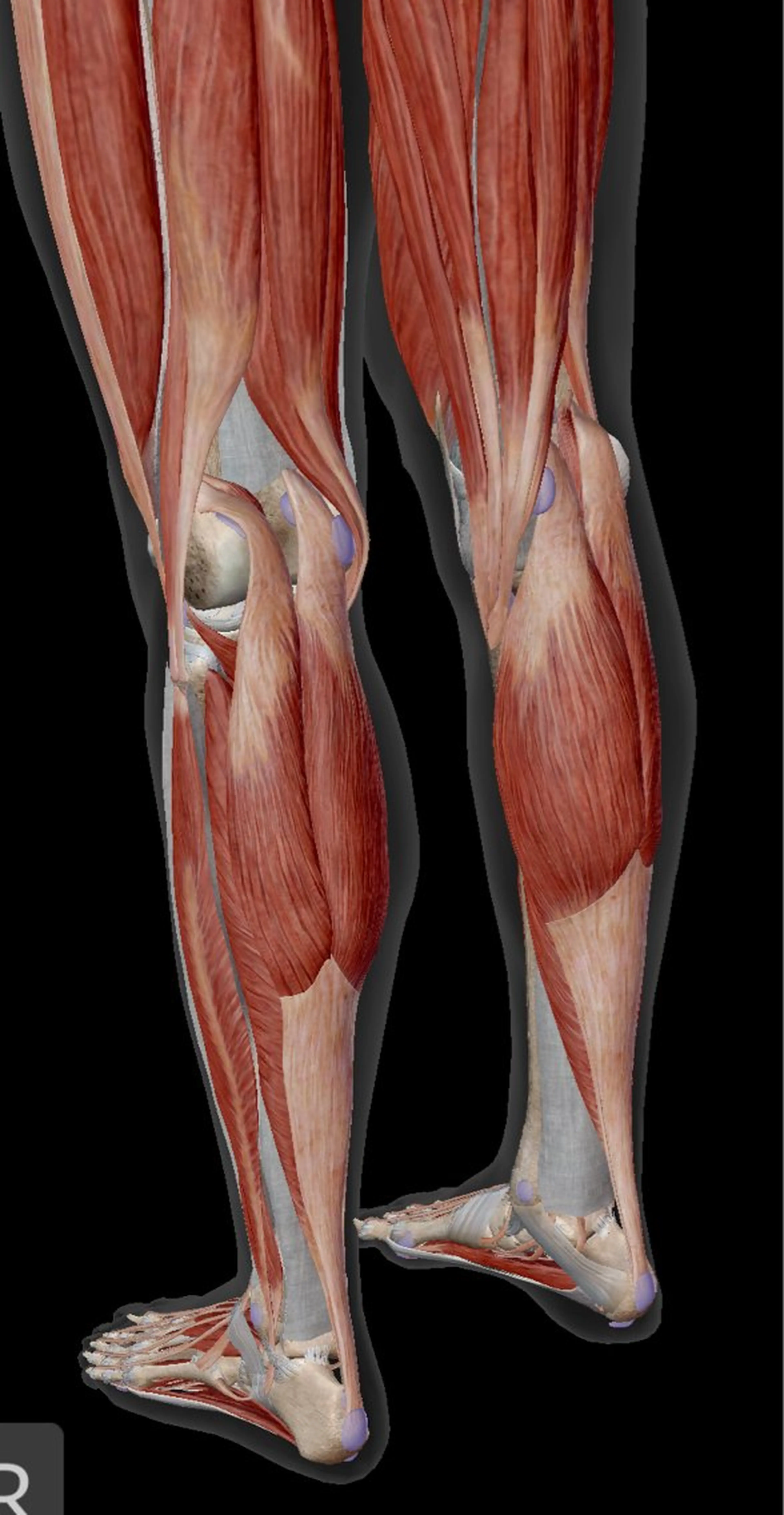 【鍼灸サロン　にった】所属・はりきゅう整体 新田鍼灸院のエステ・リラクイメージ