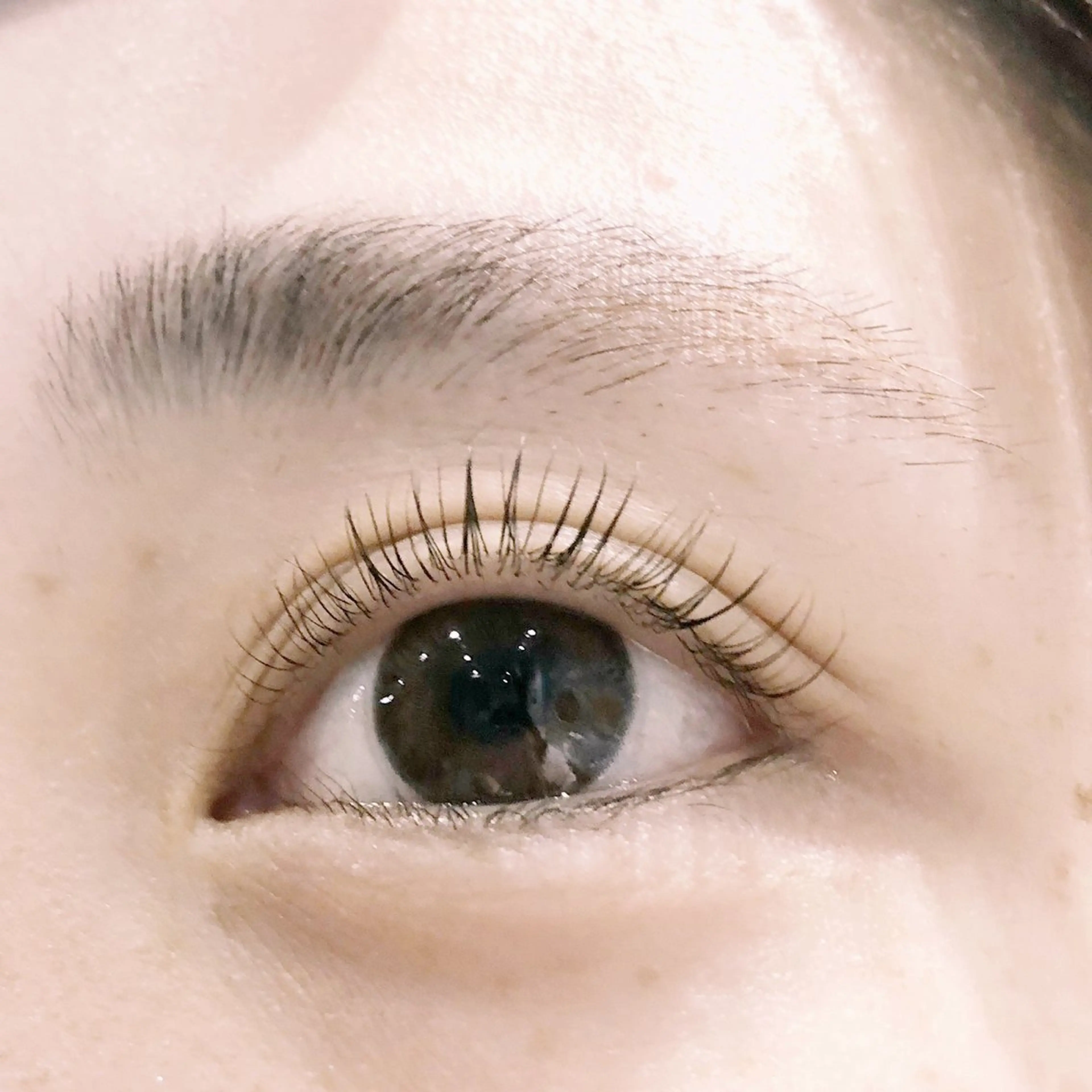 マツエク・マツパ 一重×まつ毛パーマ まつパ/まつエク /横浜　🤍木村🤍のマツエク・マツパデザイン