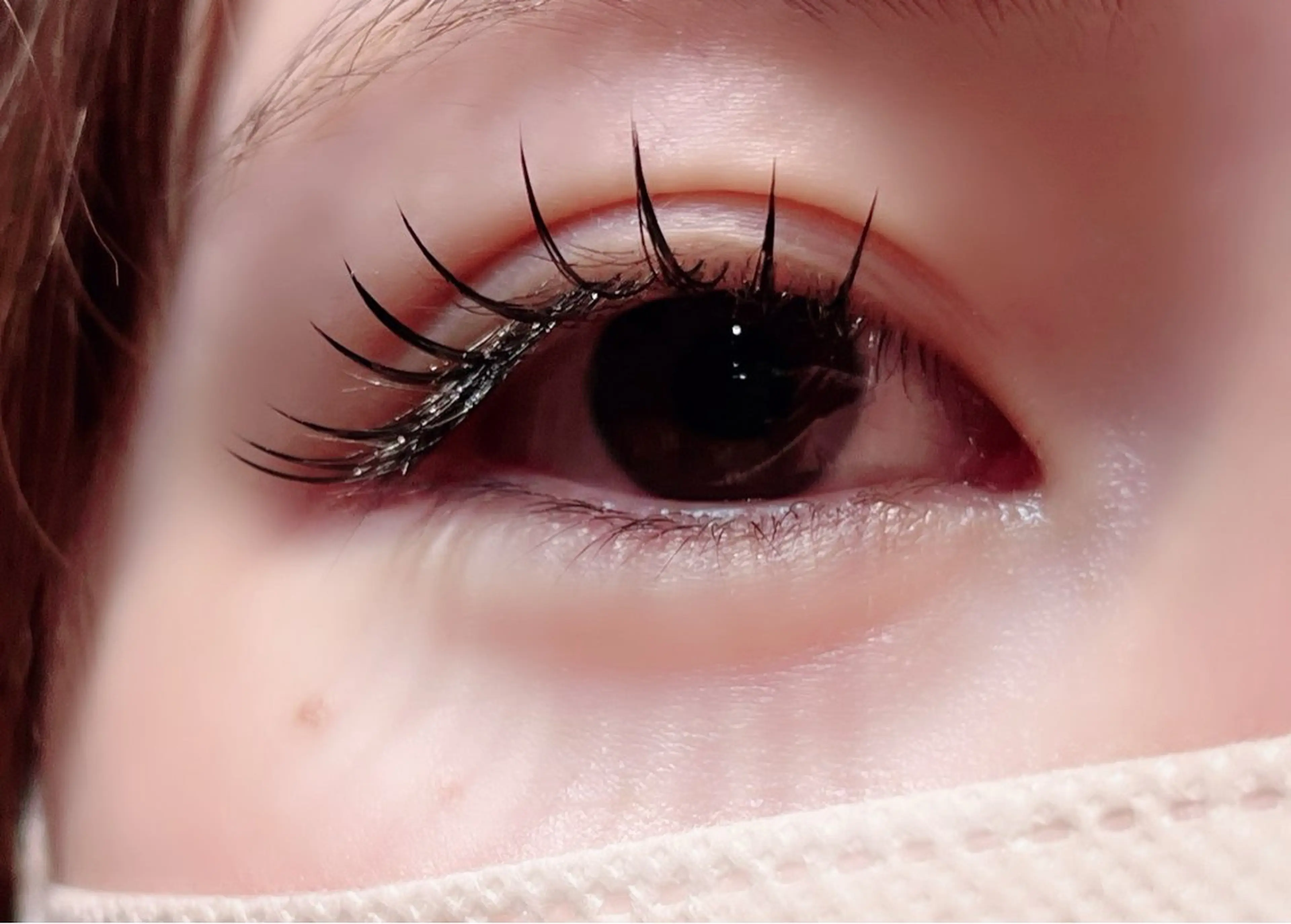 💛すぐ予約日限定💛バインドロック80束(240本)の写真