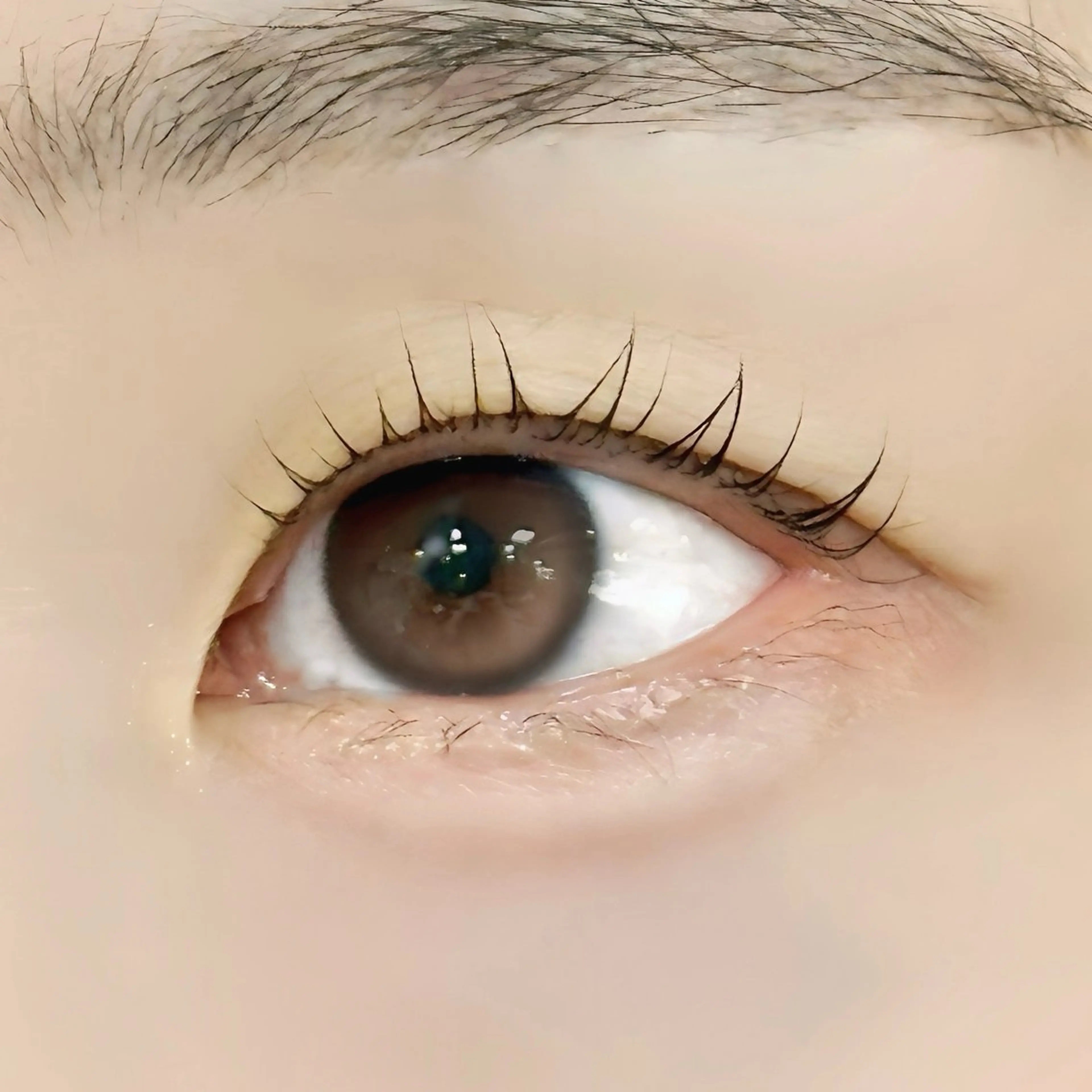 マツエク・マツパ マツパ 美容室OPTION所属・カズキ🪵 OPTIONのマツエク・マツパデザイン