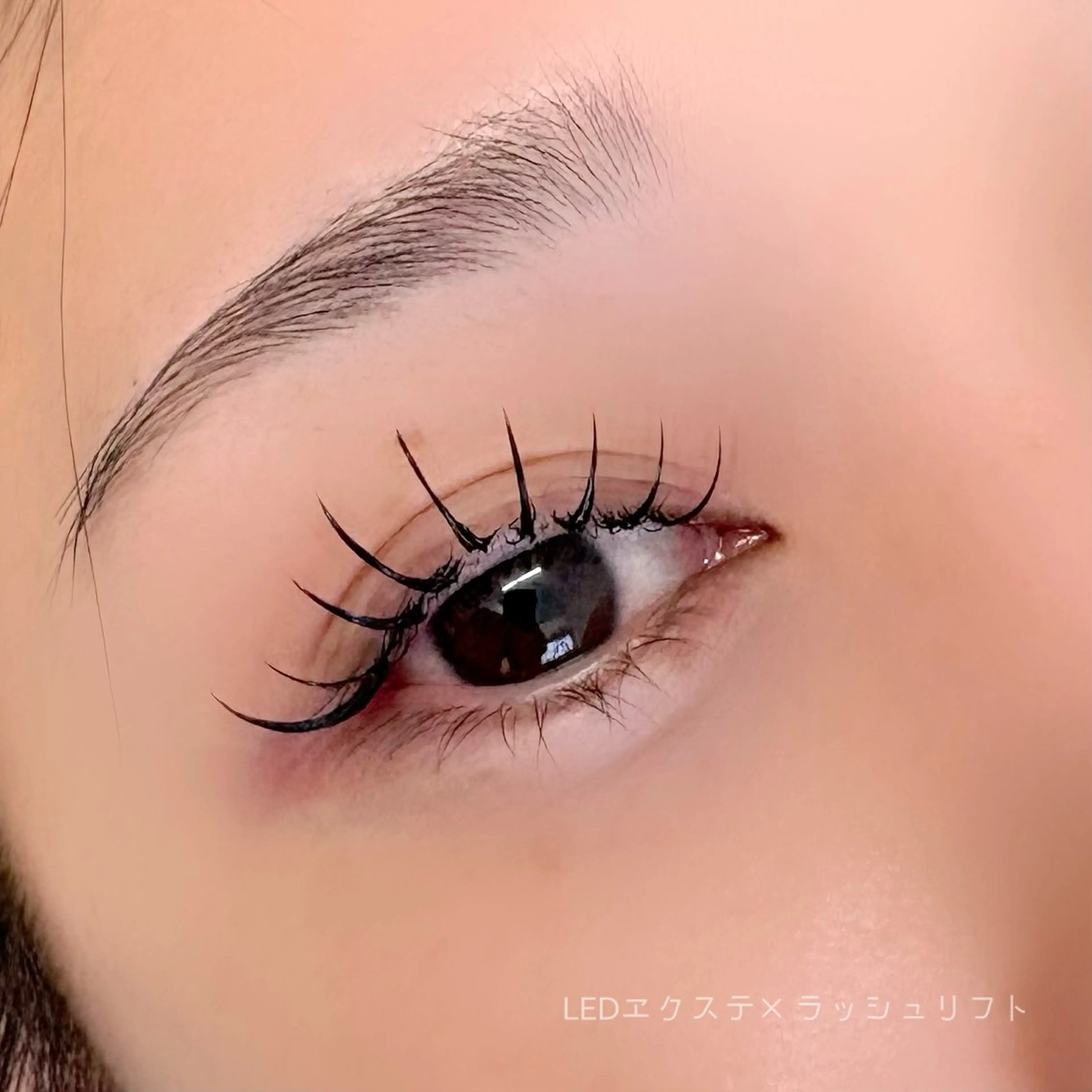 🌼リフエク100本.LEDエクステ×まつ毛パーマ🌼(オフあり)の写真