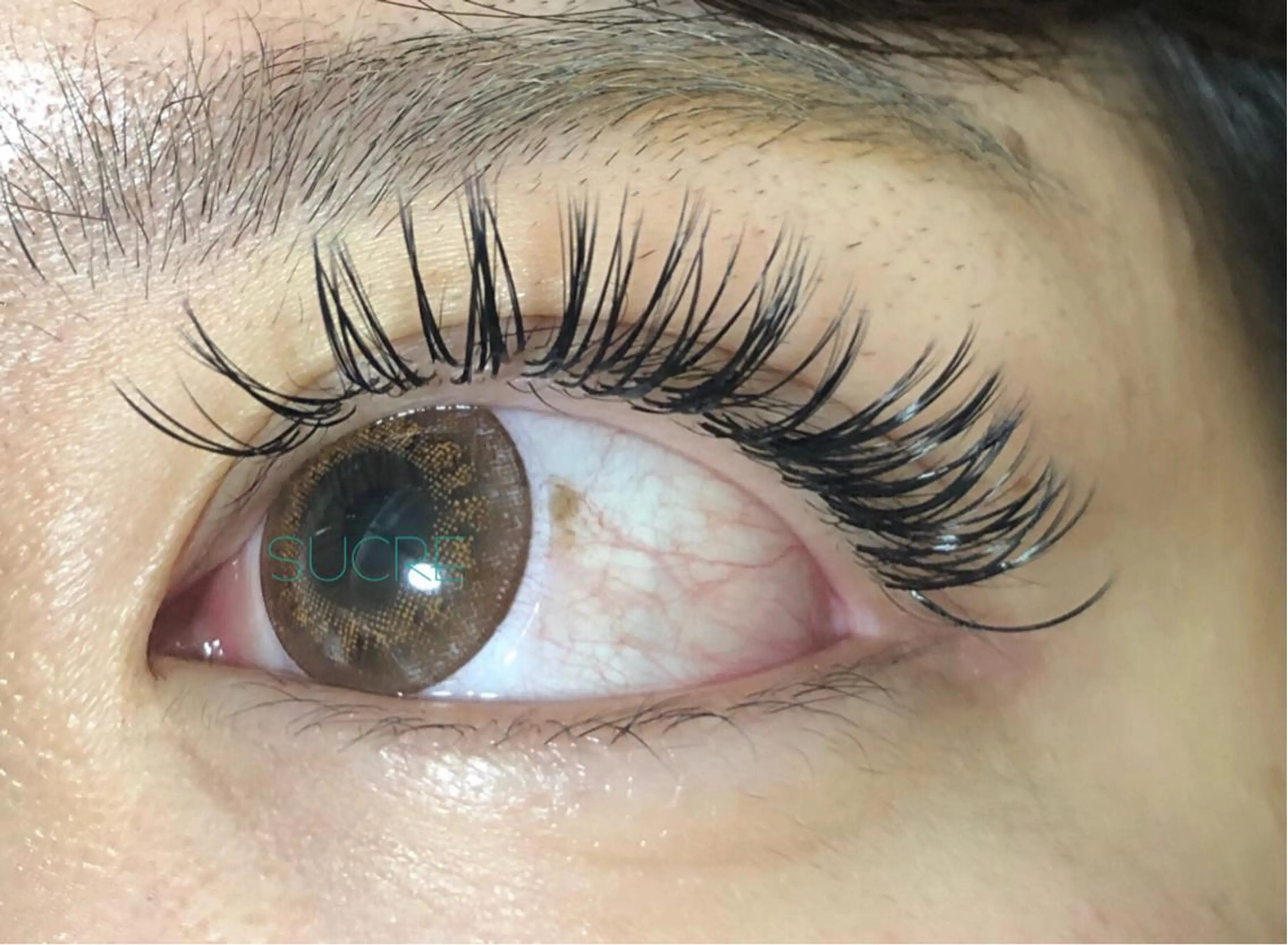 マツエク・マツパ EyelashSalon Liz.&所属・Liz.&現ino 平田のマツエク・マツパデザイン