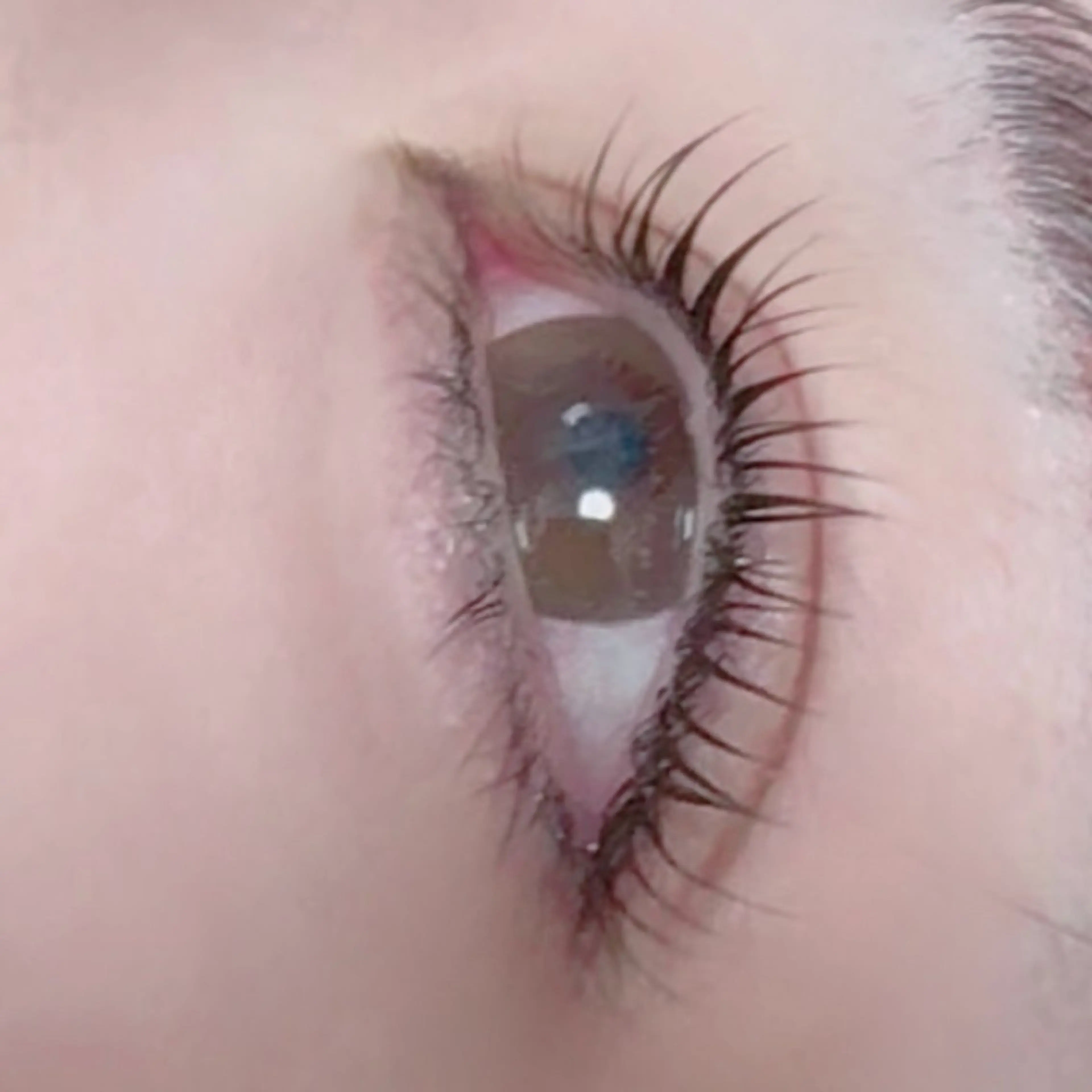 パーマ マツパ ☘️Moe☘️ 似合わせデザインのマツエク・マツパデザイン