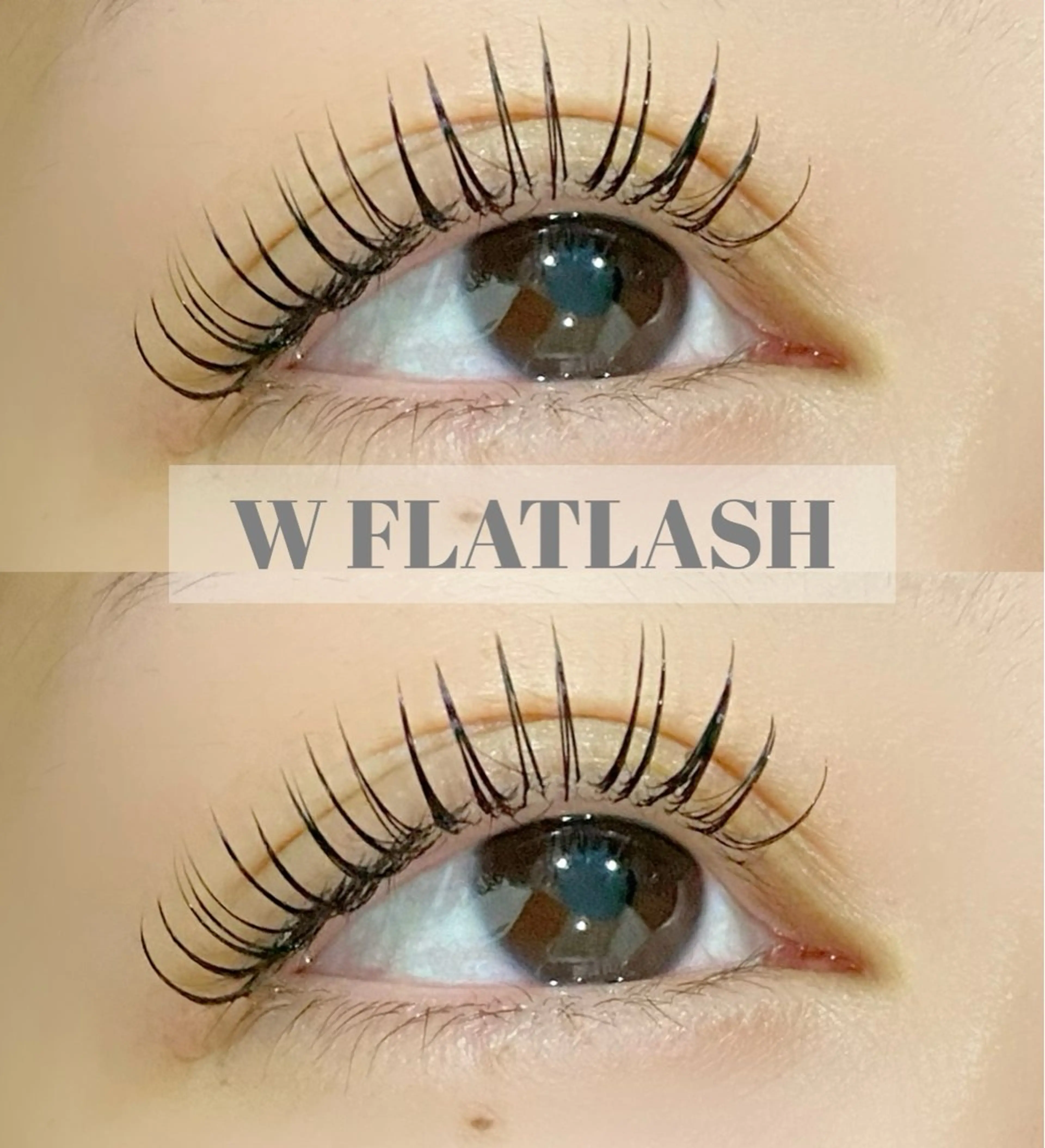 オフ&コーティング込🌟Wフラットラッシュ80束(160本) ¥4900の写真