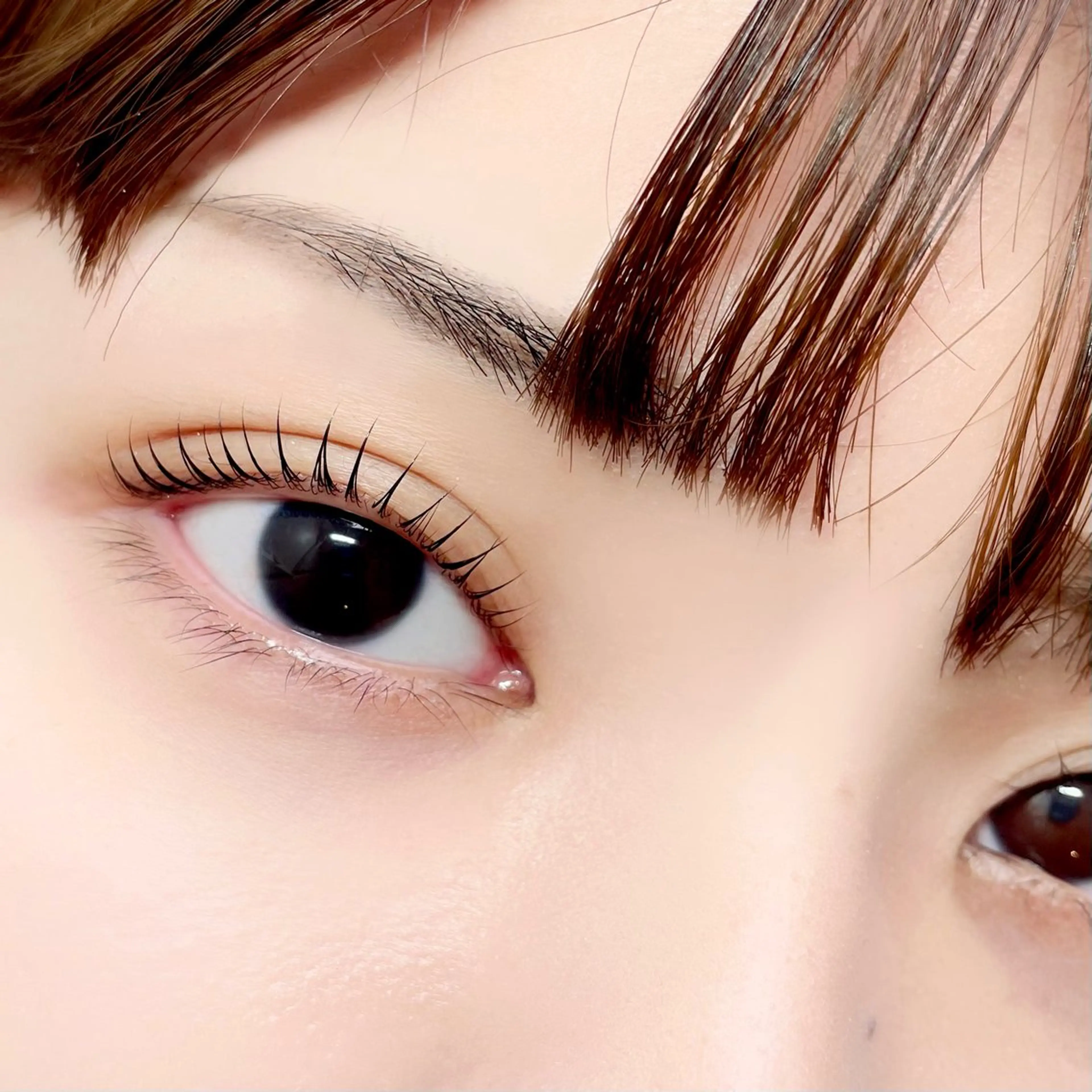 マツエク・マツパ ccccccc b.所属・ccccccc b. ヤマモトのマツエク・マツパデザイン