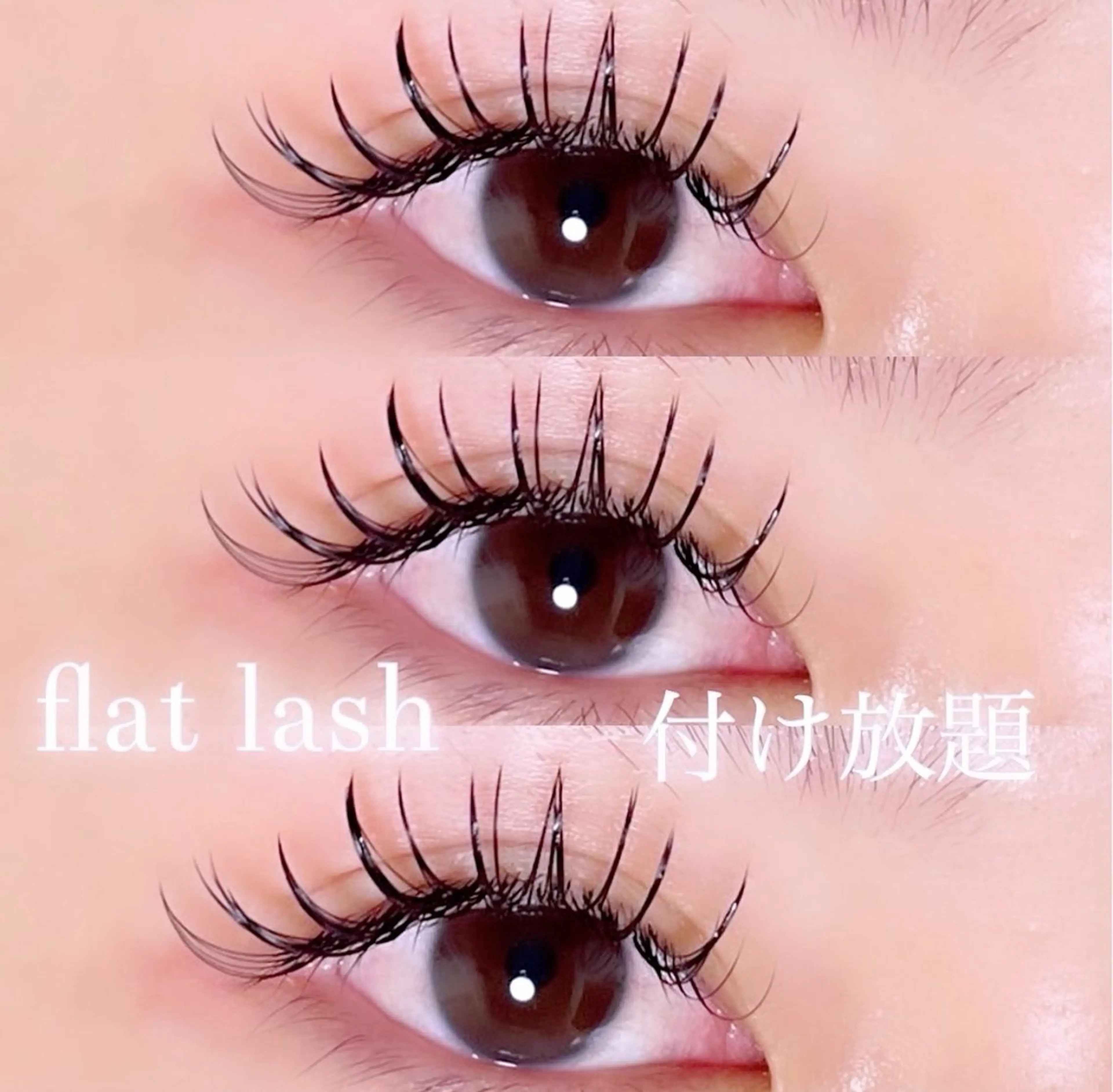 マツエク・マツパ 付け放題 フラットラッシュ Anela .のマツエク・マツパデザイン