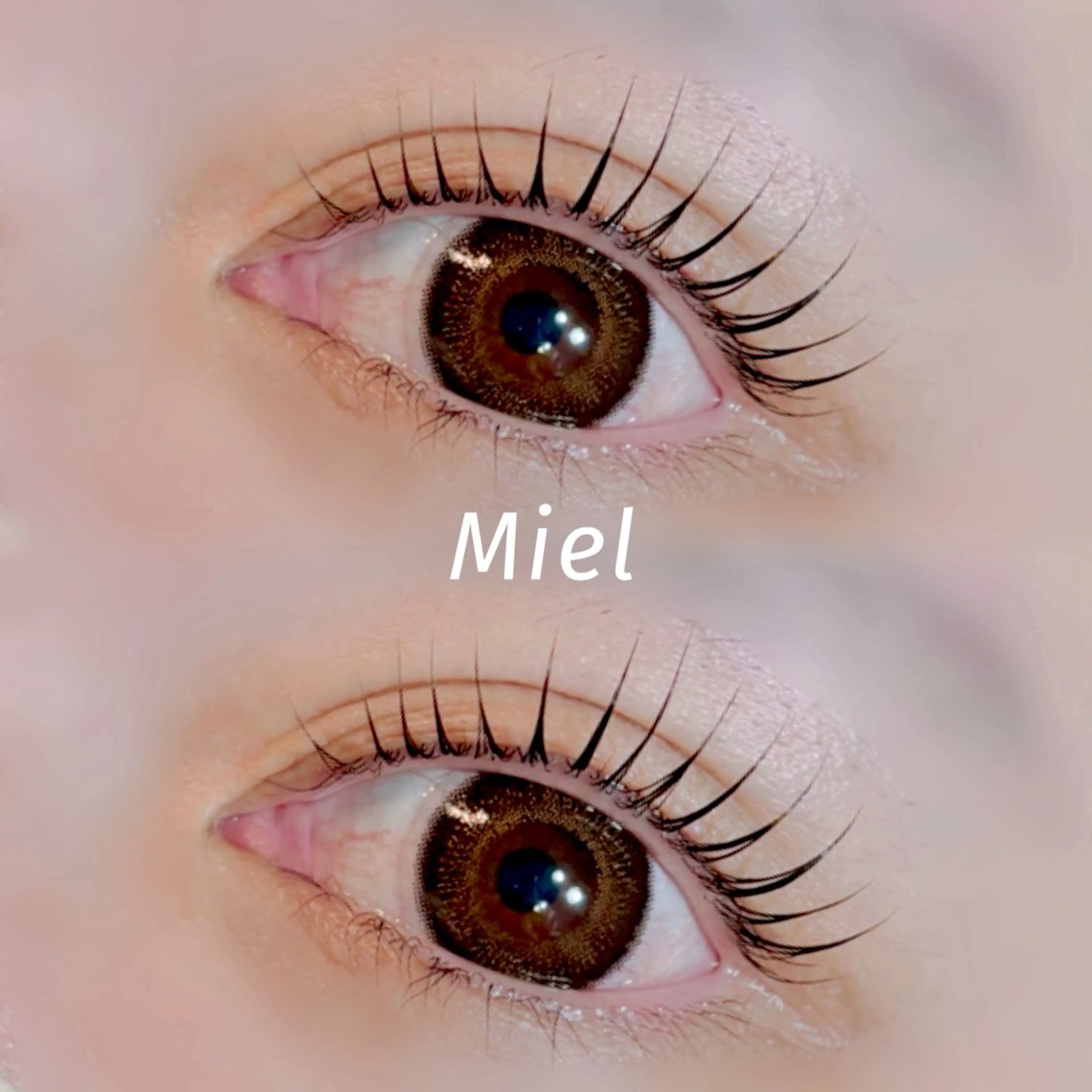 マツエク・マツパ まつげパーマ Mori ✨Mystical✨のマツエク・マツパデザイン