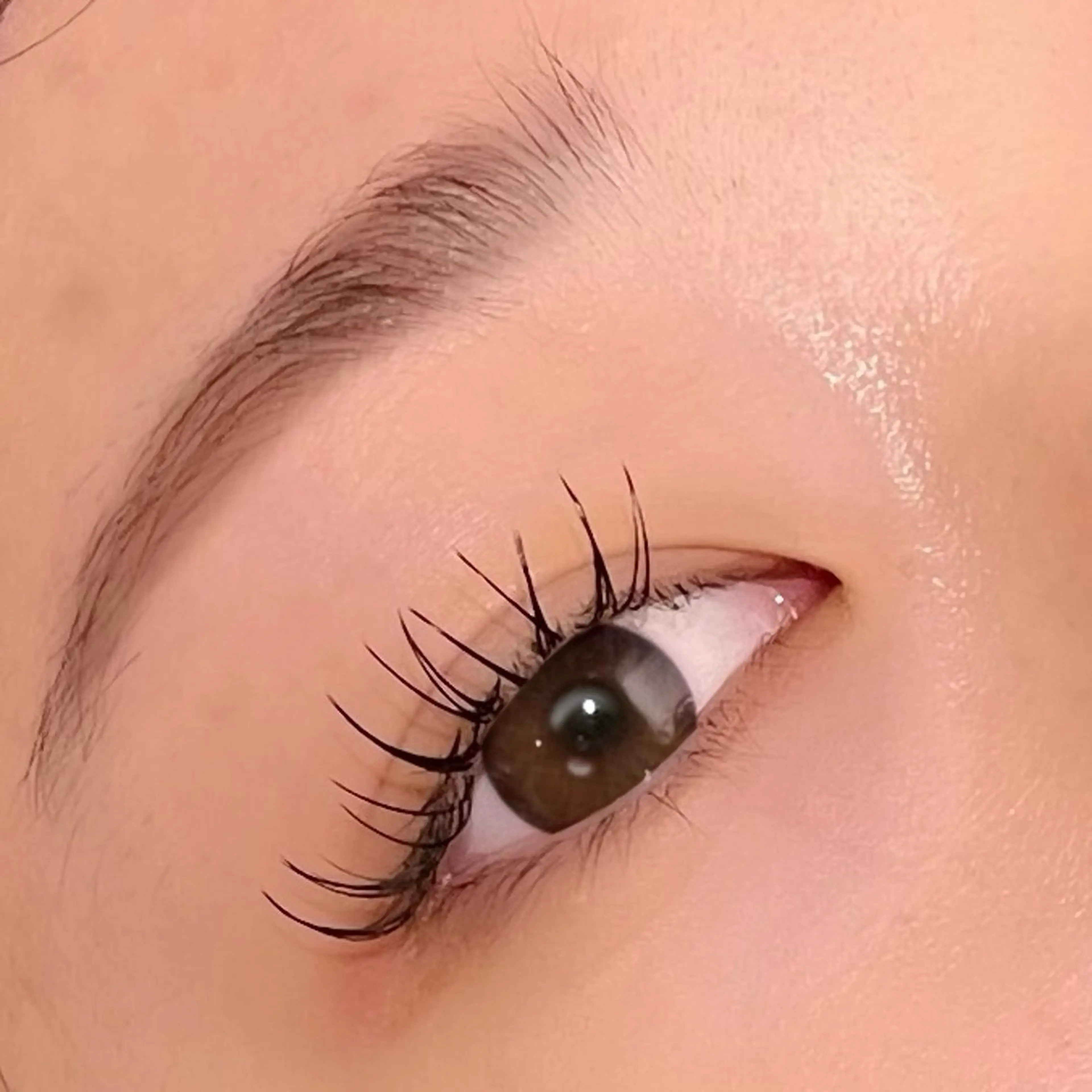 マツエク・マツパ フラットラッシュ ナチュラル ao/TRUTH 獨協大学前店のマツエク・マツパデザイン