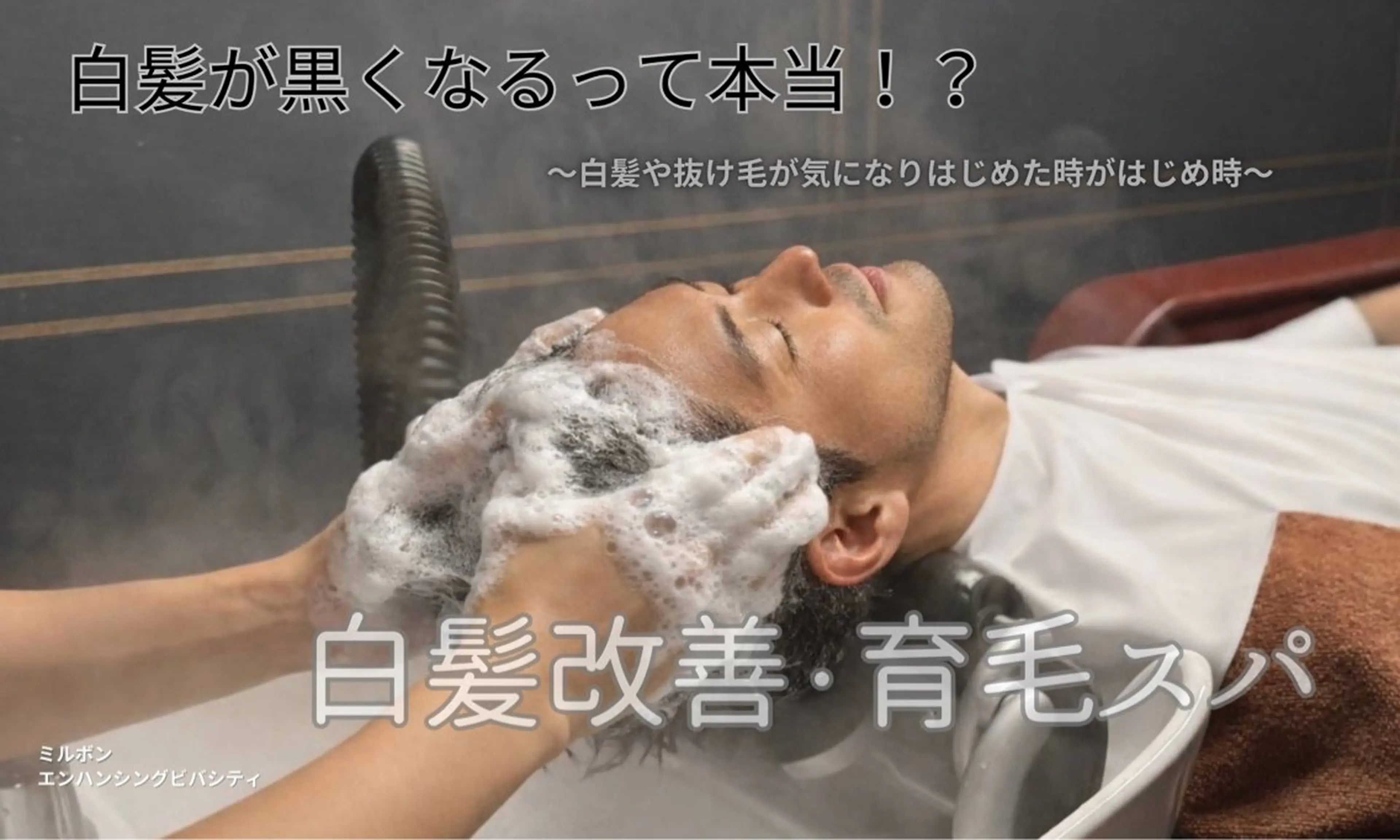 白髪改善・育毛スパ（ブロー込み）8600円の写真