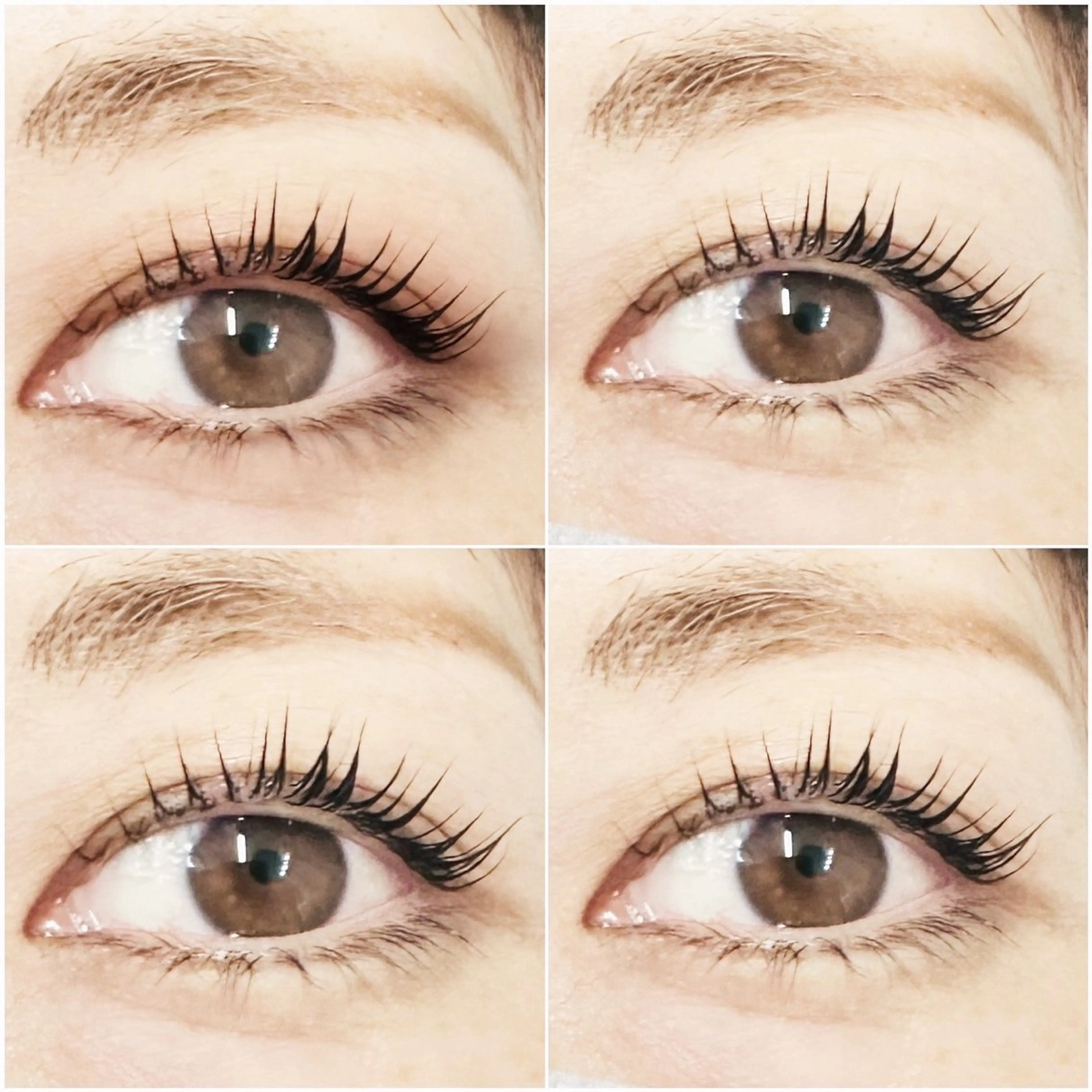 マツエク・マツパ ネモア久留米店 🌼AYUMI🌼のマツエク・マツパデザイン