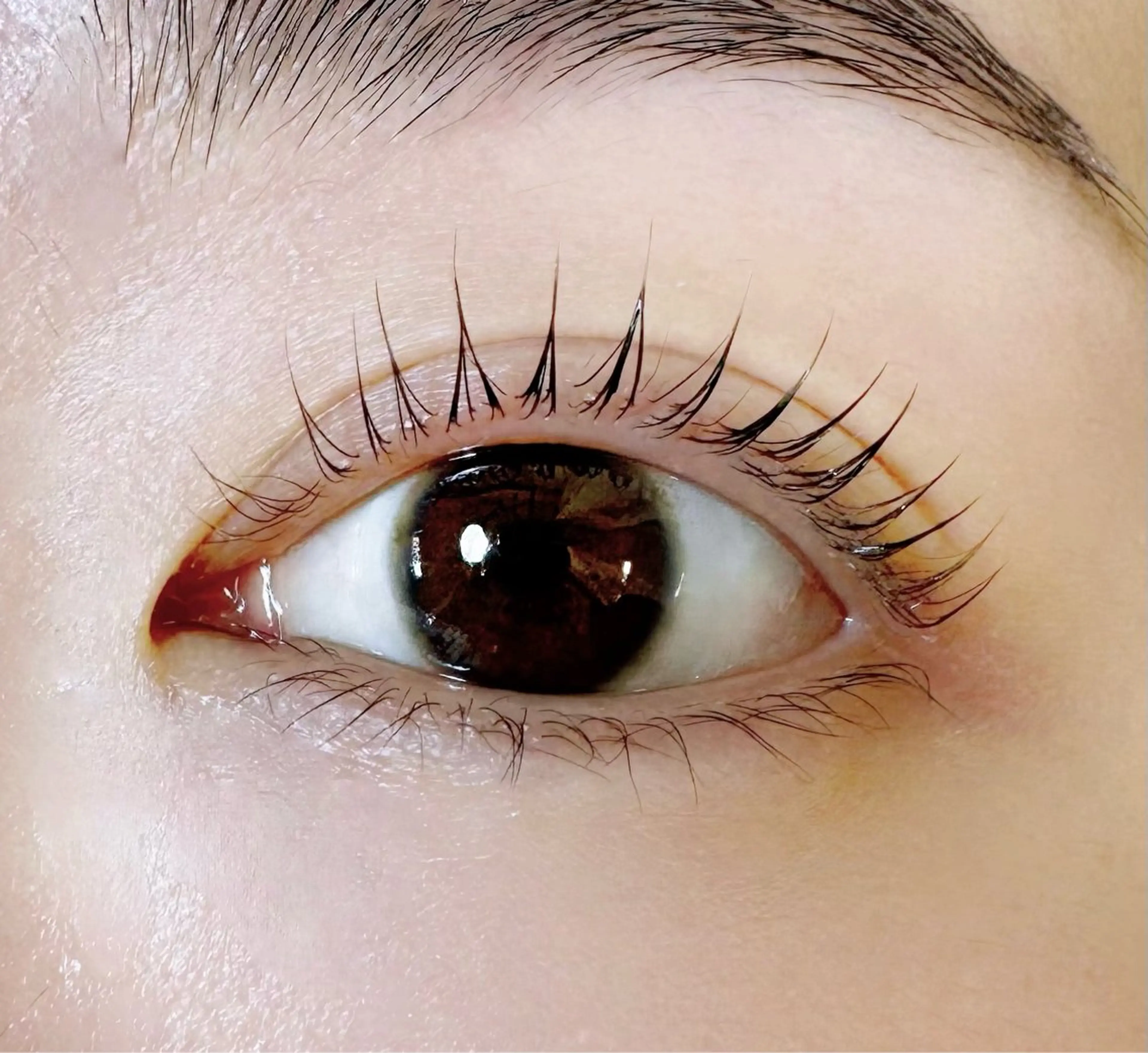 ✨トリートメント付きまつ毛パーマ✨ビューラーいらずになるのでメイクの時短にも♪の写真