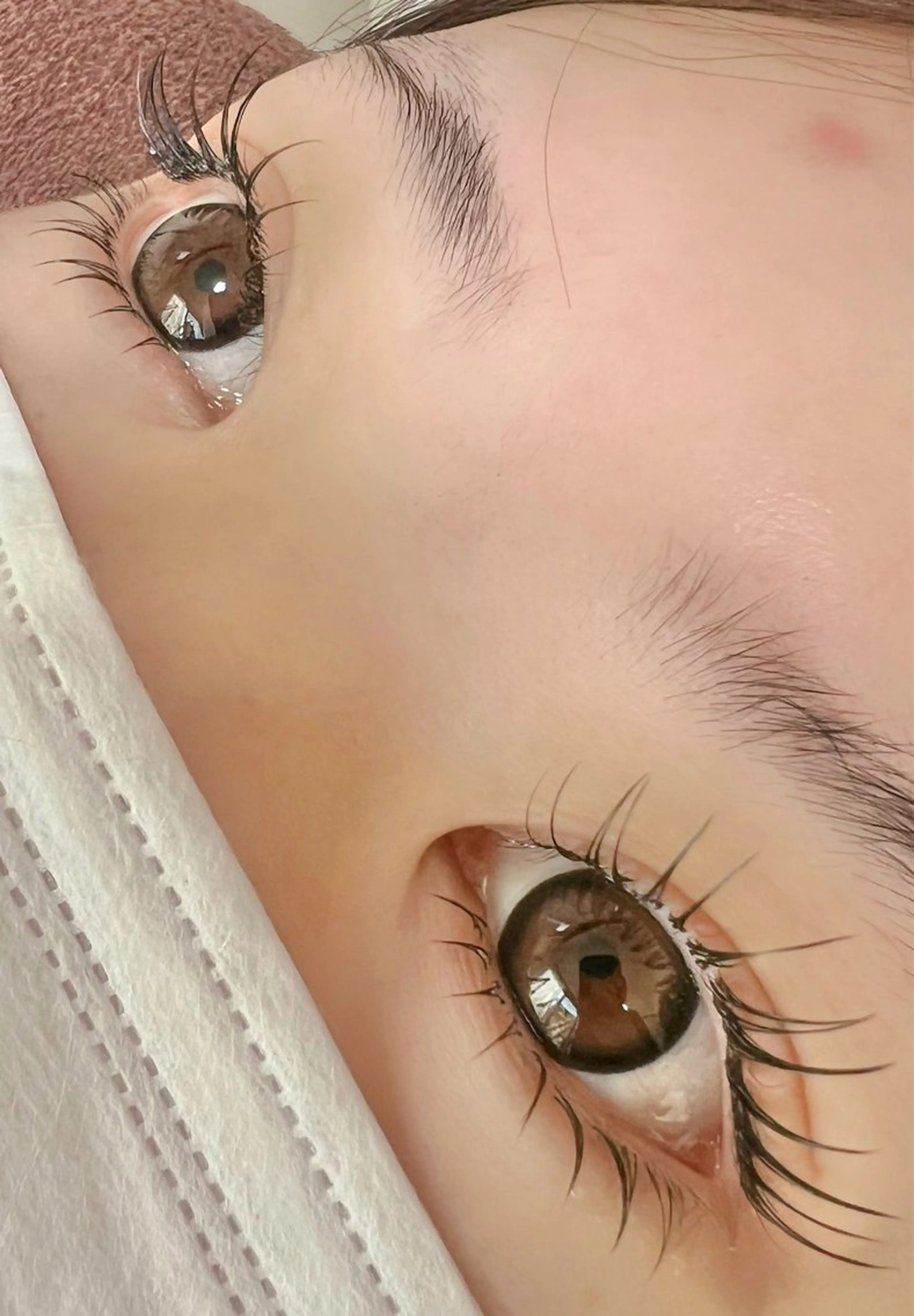 🎀下まつげ20本🎀の写真