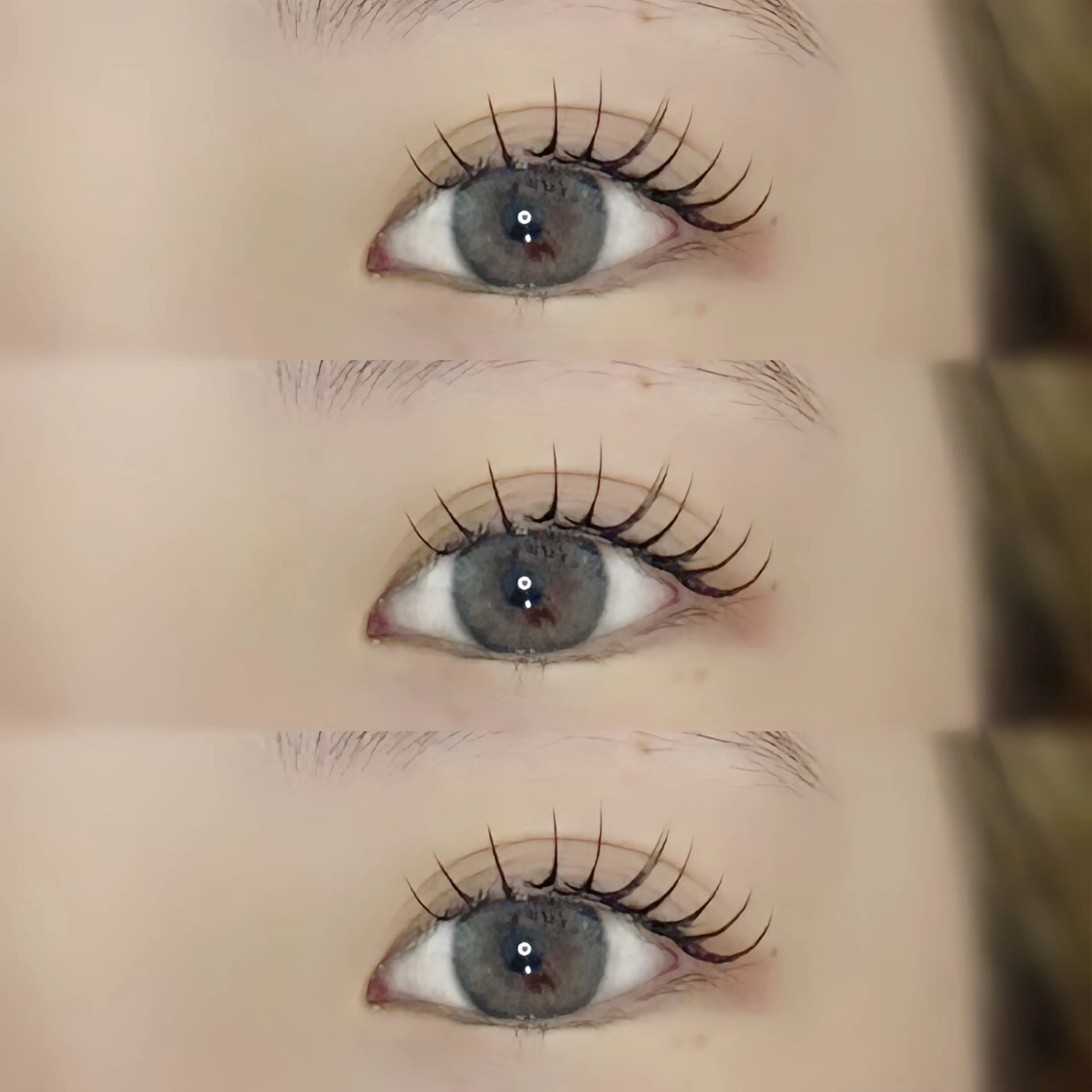 2週間メンテナンスの写真