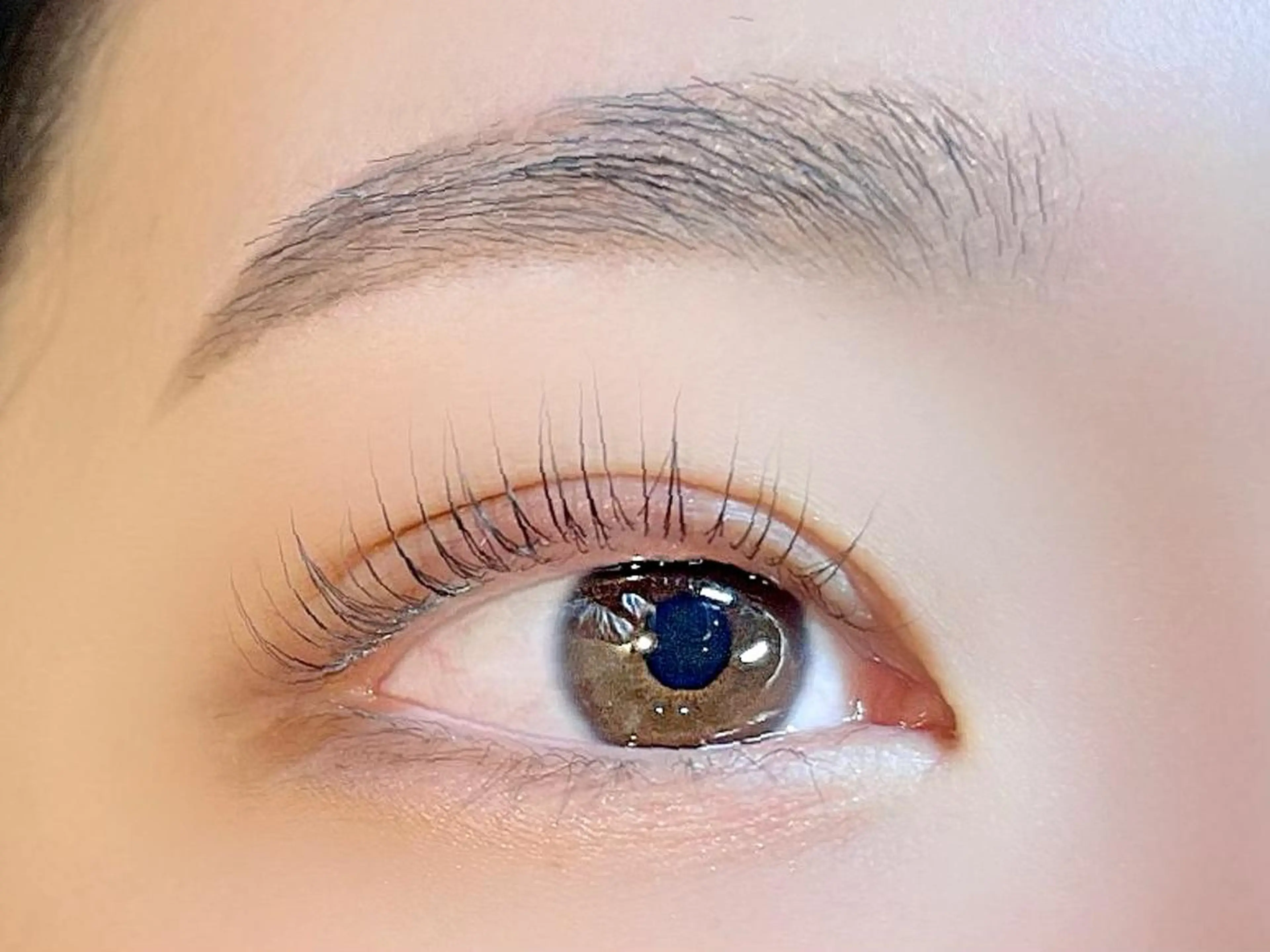 当日来店限定🩵まつげパーマorパリジェンヌラッシュリフト🌷束感コーティング仕上げ🆗✨の写真