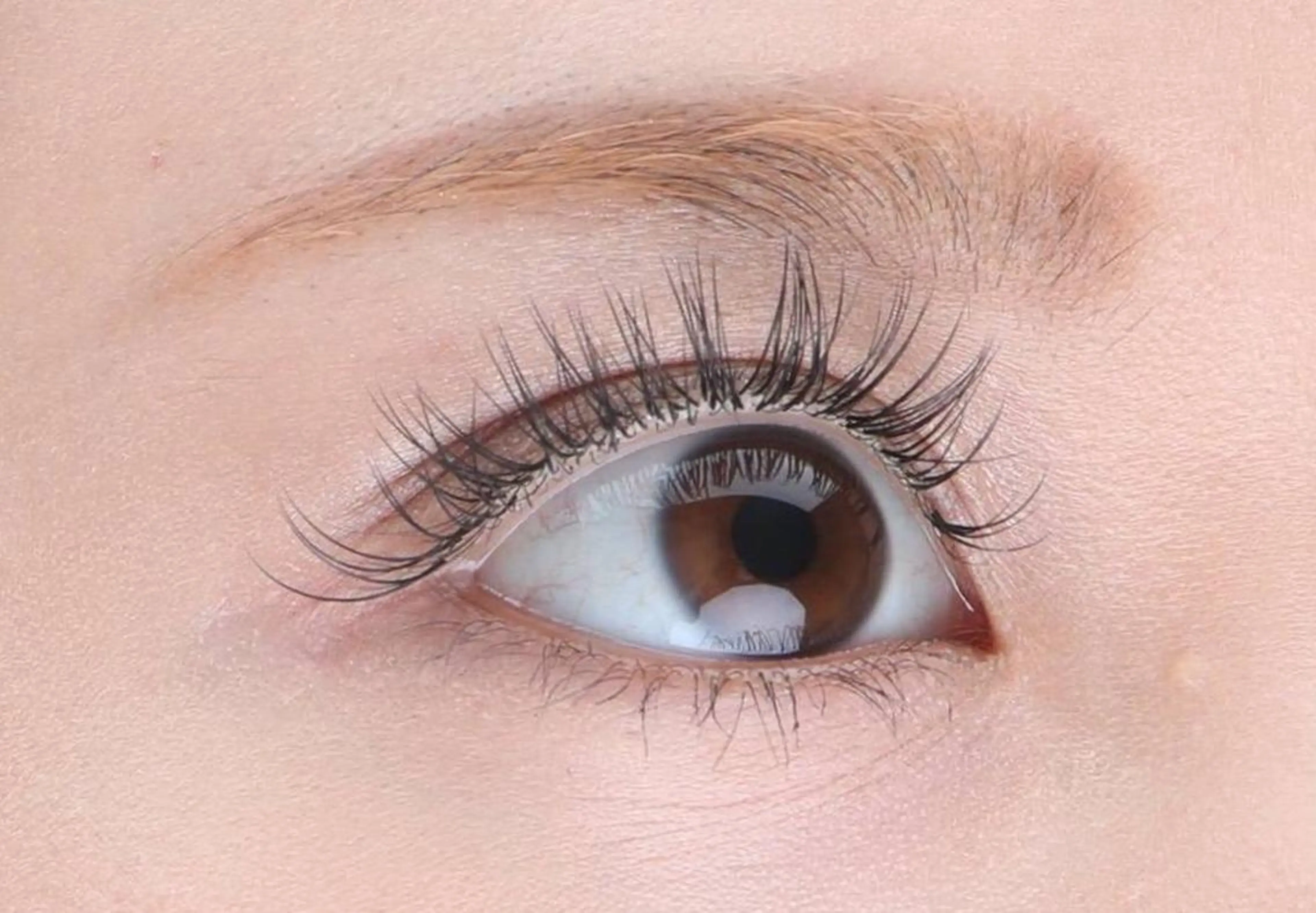 フラットラッシュ120本の写真