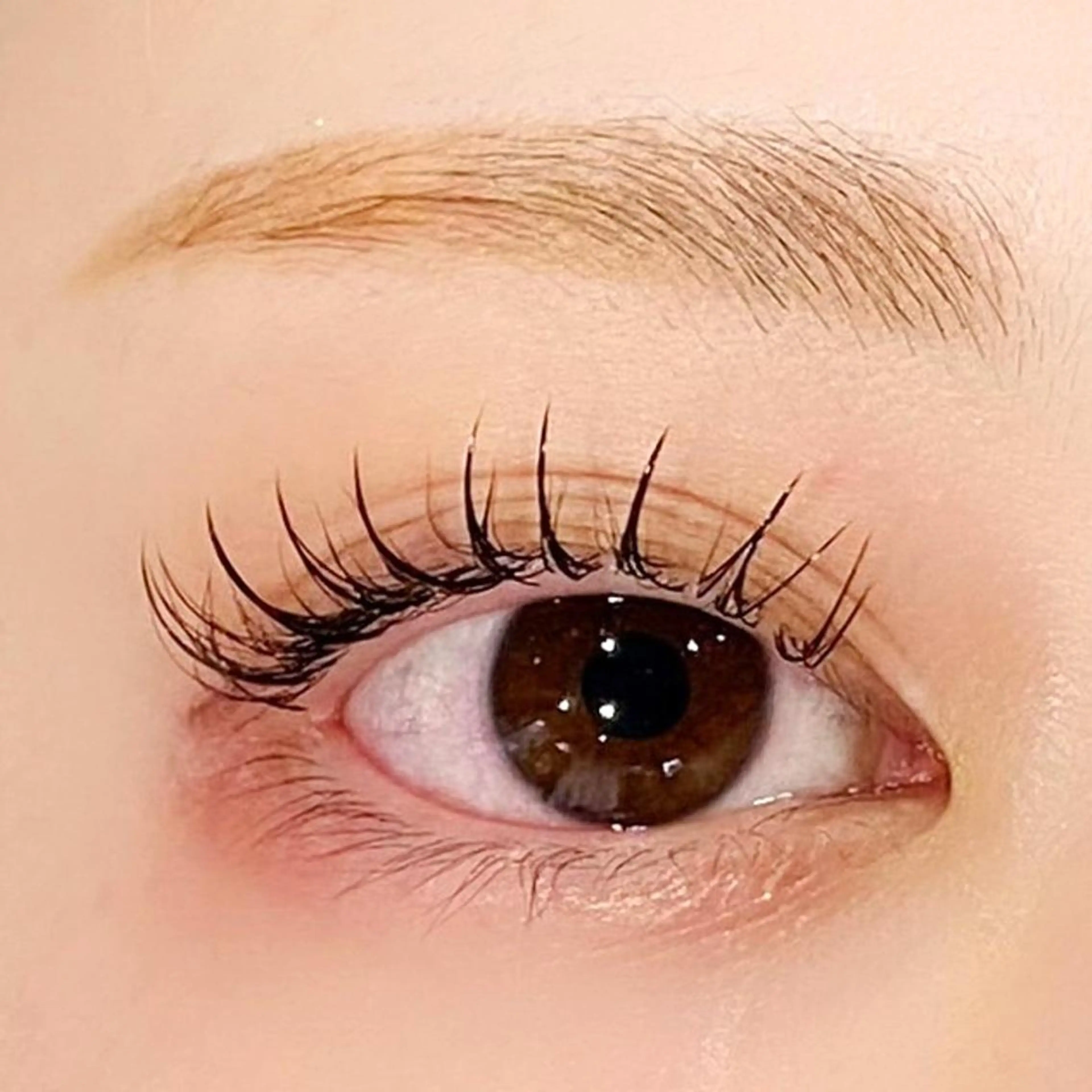 初回オフ無料🎀【フラットラッシュ80本迄】×🍑コーティングorアイシャンプー🍑✨の写真